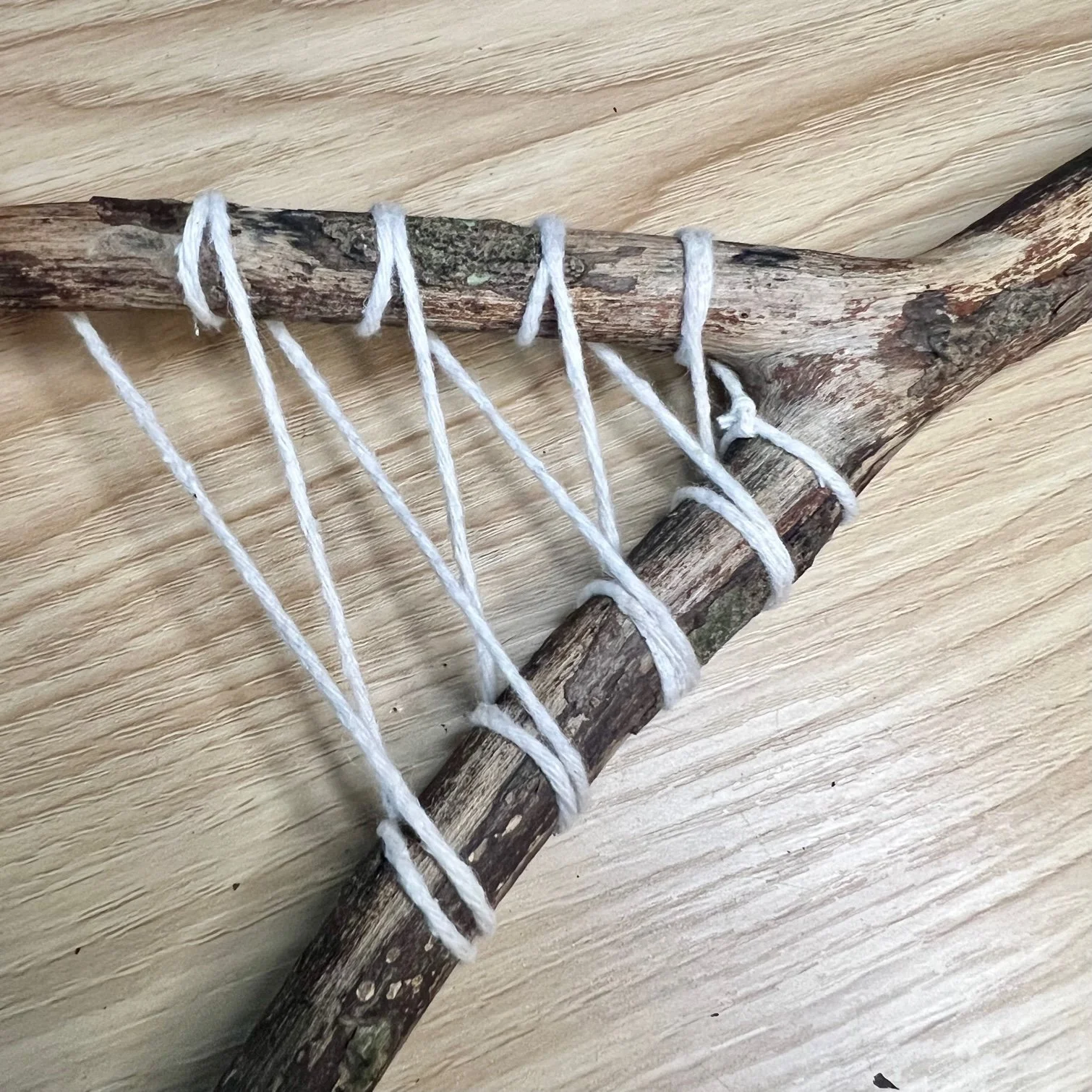 Branch Weaving Mud Bloom Branch Weaving Mud Bloom