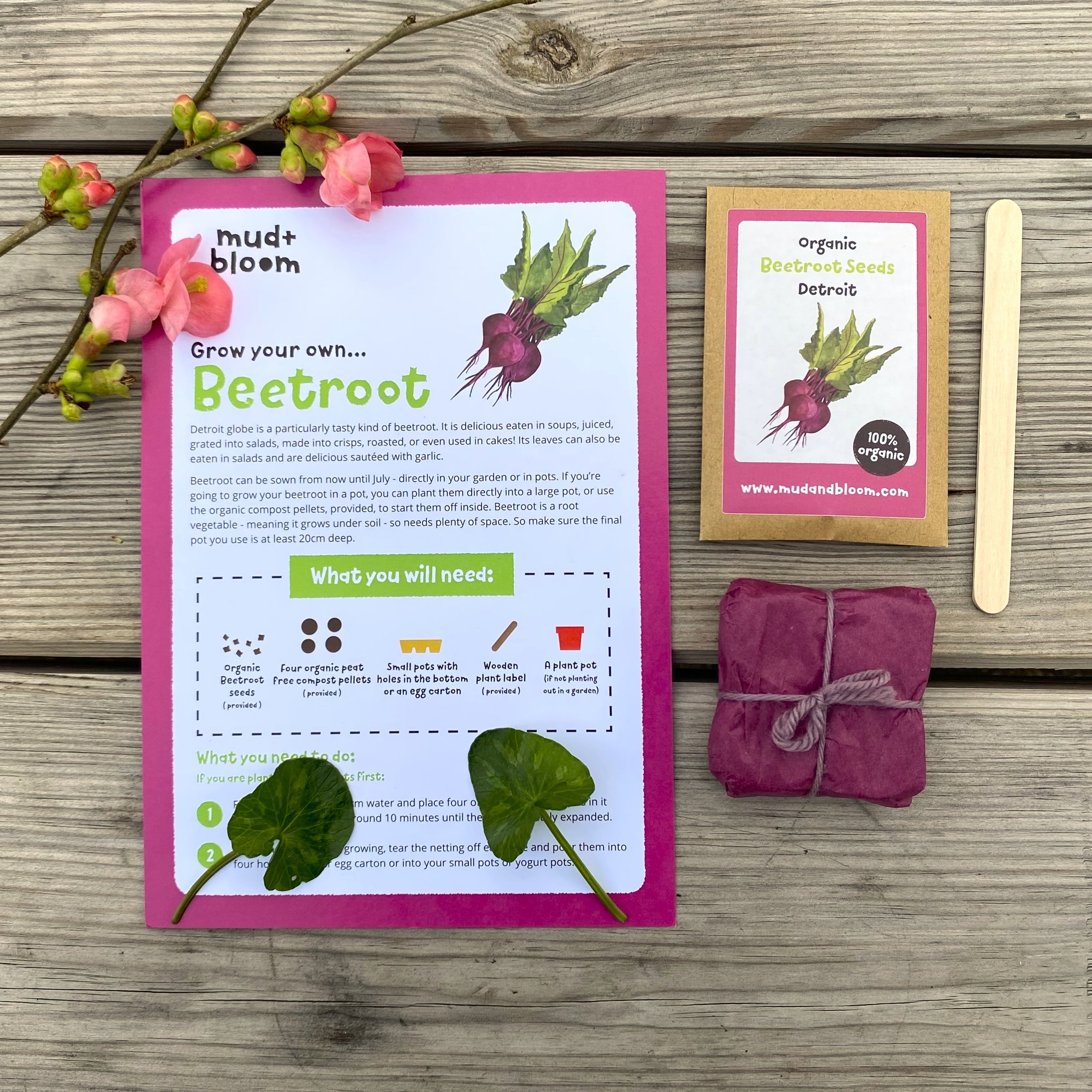 Spring party bag 2024 grow beetroot.jpeg