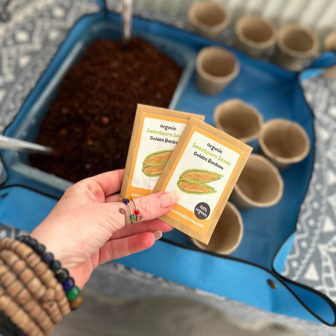 Have you planted your sweetcorn seeds from our April box yet? 🌱🌽

In each of our monthly boxes we provide two sets of seasonal seeds or bulbs, usually a flower or vegetable or herb, but it will vary depending on the time of year. All our seeds and 