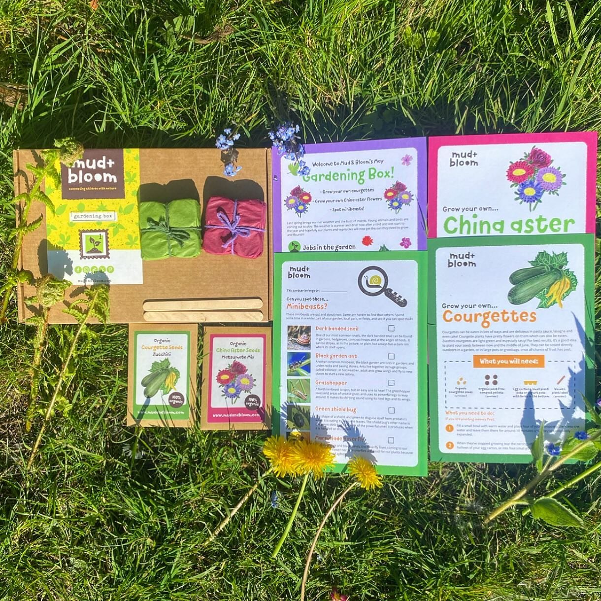 Our May standalone gardening box is now available to order! 🌱🌸

This months box includes the following:
🌱Organic courgette seeds
🌸Organic China aster seeds
🌼May gardening jobs card
🐌Minibeasts spotter

Our seeds are certified organic and biodyn