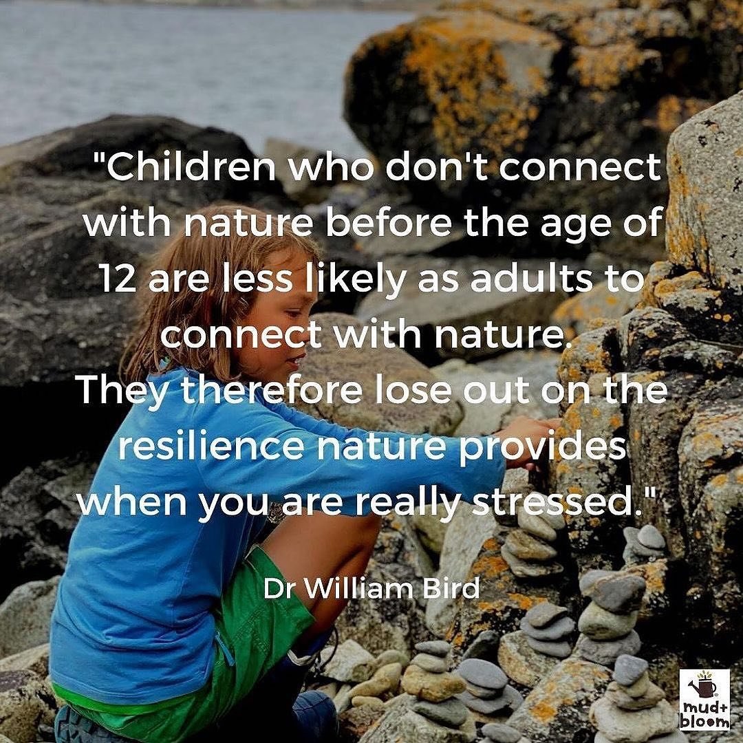 #natureconnection #connectingchildrenwithnature #outdoorlearing #nature #vitaminn #vitaminnature