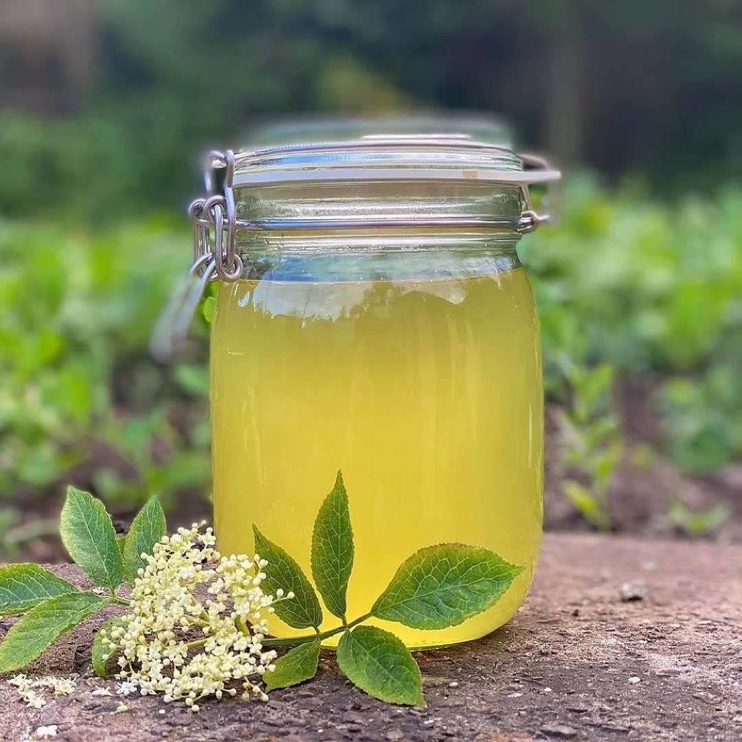 Make elderflower cordial 🌿

Have you spotted any elderflowers yet? I was excited to spot my first elderflowers of the year last week, here in Bristol!

Elderflower cordial is very simple to make. You can read our recipe here 👉🏼www.mudandbloom.com/