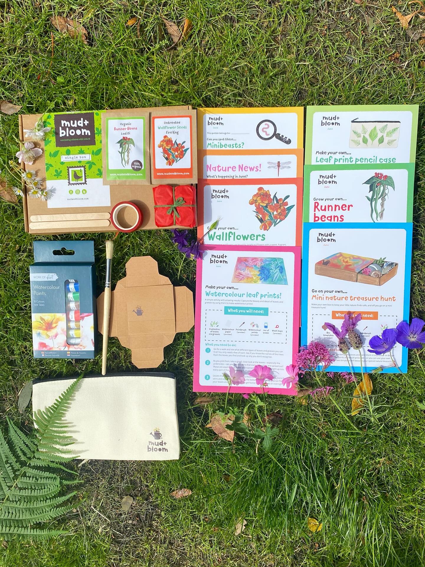 🌿☀️🌈 Our June nature crafts and gardening box is packed with exciting activities that will get you and your kids exploring nature!

🌈Make Watercolour Leaf Prints
🫛Grow Organic Runner Beans
🌺Grow Wallflowers
🍀Go on a Mini Nature Treasure Hunt
🌿