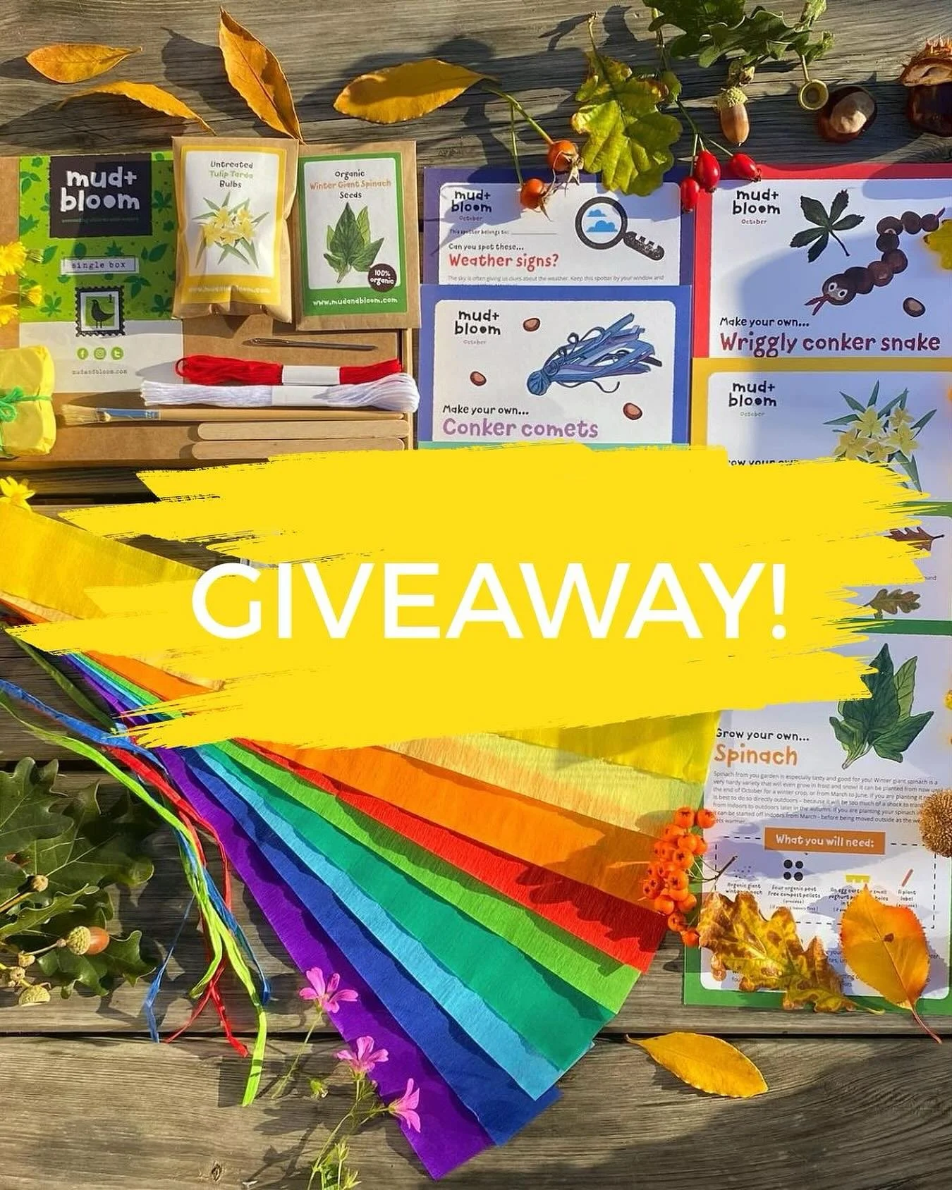 🌰 GIVEAWAY TIME! 🍂✨

Win an October Mud &amp; Bloom nature crafts and gardening box!
It&rsquo;s filled with autumn magic, from conker crafts to tulip planting, and everything you need for a month of creating, growing and exploring nature.

To enter