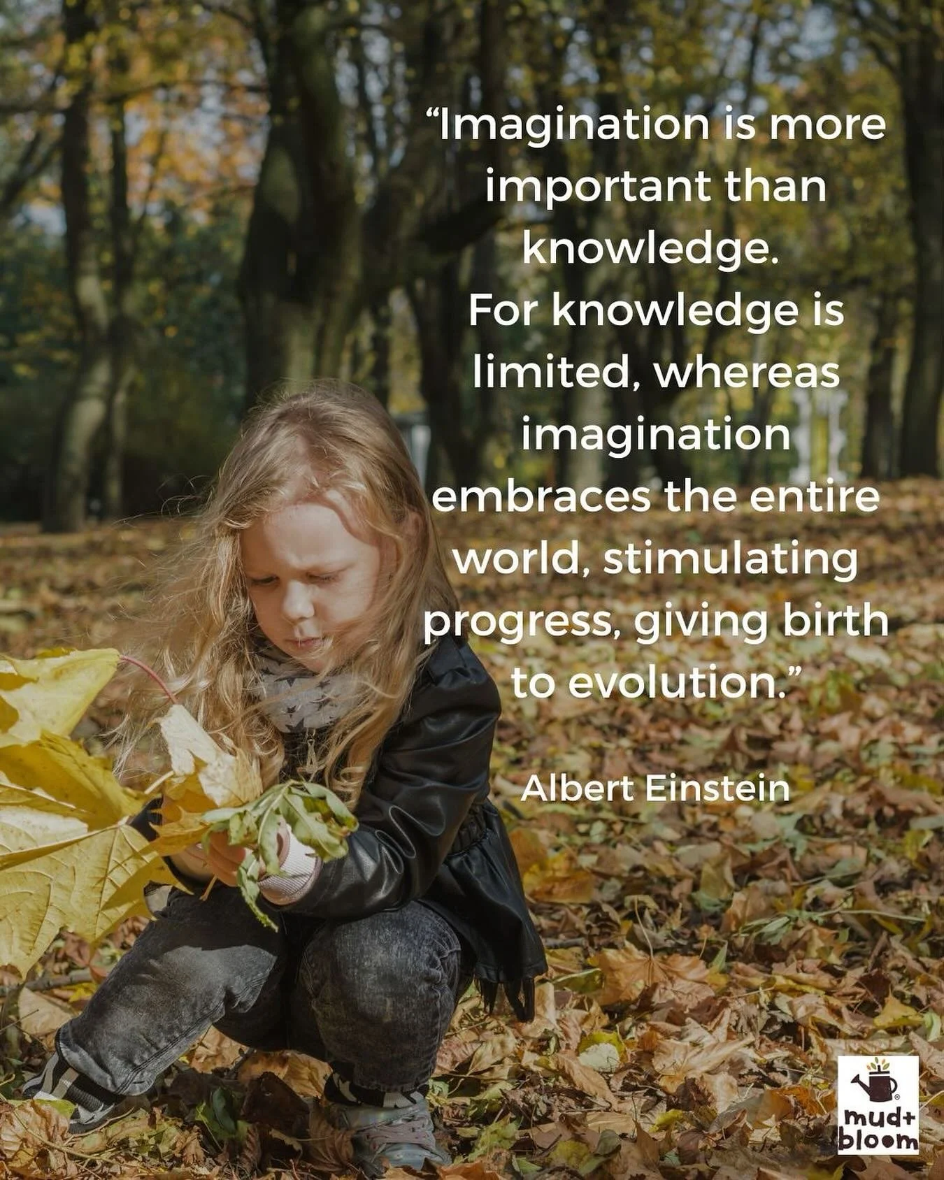 &ldquo;Imagination is more important than knowledge. For knowledge is limited, whereas imagination embraces the entire world, stimulating progress, giving birth to evolution.&rdquo;
Albert Einstein

#alberteinstein #imagination #learningthroughplay #