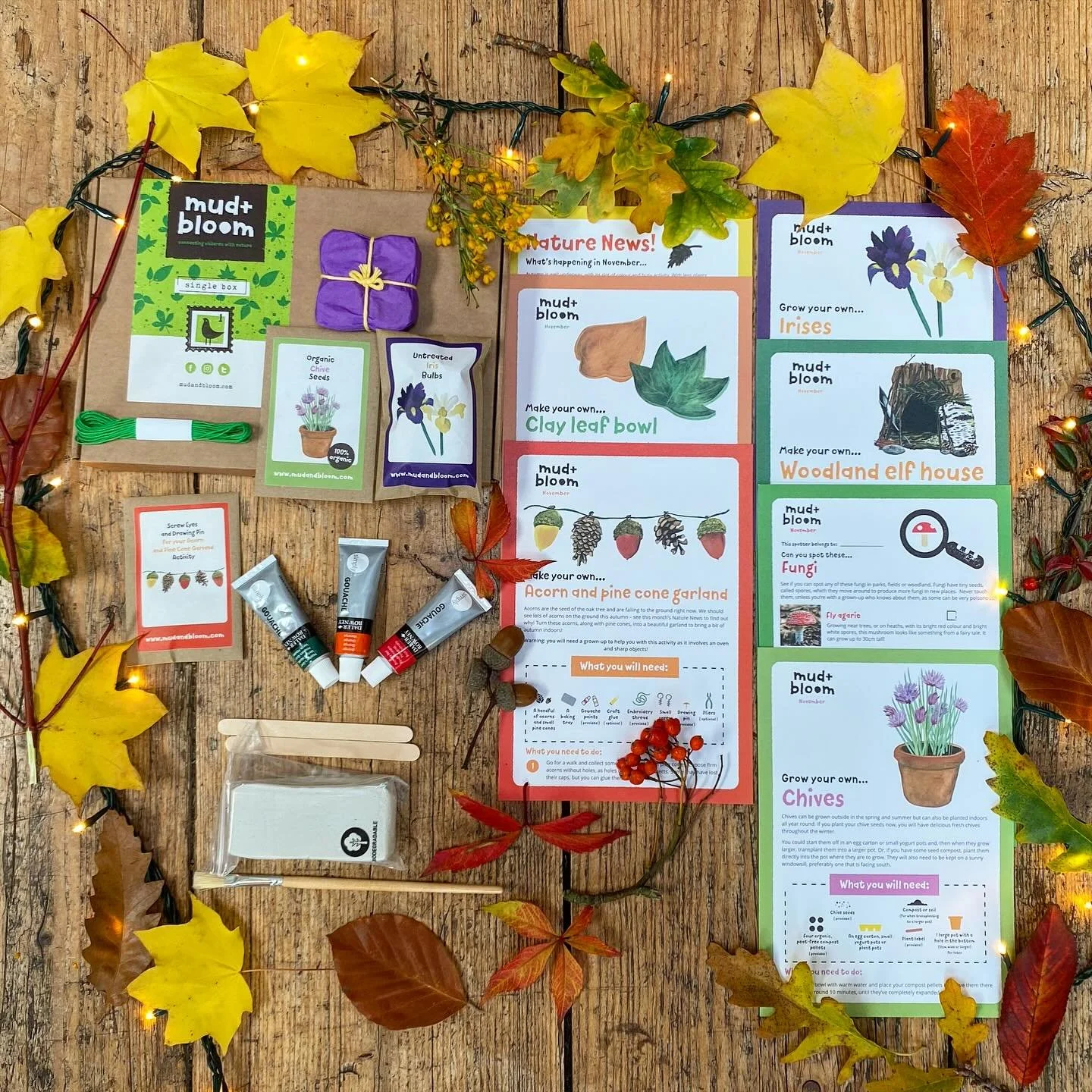 🍂✨ Our November Mud &amp; Bloom Box is here! ✨🍂

This month&rsquo;s box is filled with cosy, creative and nature-inspired activities for your little ones to enjoy as autumn deepens. 🌰🌧️

🌱 Grow your own irises and chives
🍁 Make a beautiful clay