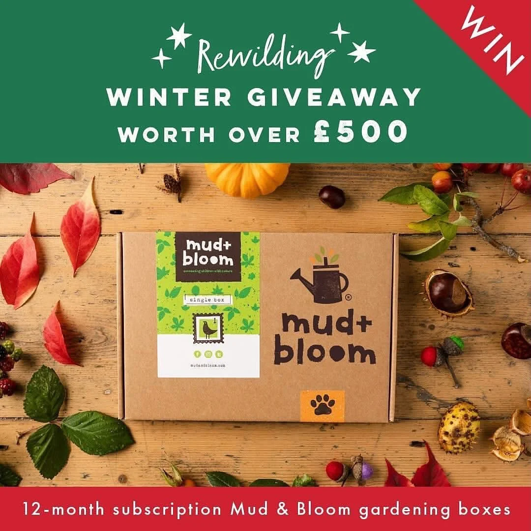 🎄LAST CHANCE to enter this lovely GIVEAWAY! ⭐️

We&rsquo;ve joined @welovefrugi , @riverford and @magiccatpublishing to celebrate the festive season with a beautiful giveaway inspired by nature, stories and slow, mindful family moments.

Together, w