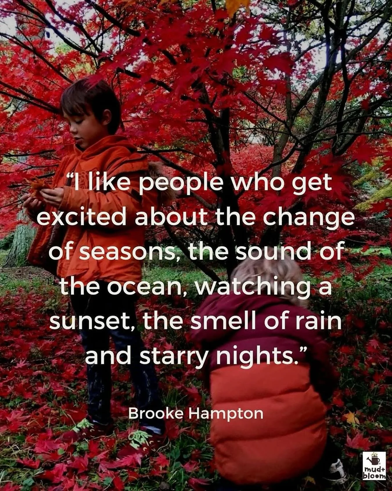 &ldquo;I like people who get excited about the change of seasons, the sound of the ocean, watching a sunset, the smell of rain and starry nights.&rdquo;

Brooke Hampton

#seasonalliving #simplejoys #noticingnature #mindfulliving #slowmoment #apprecia