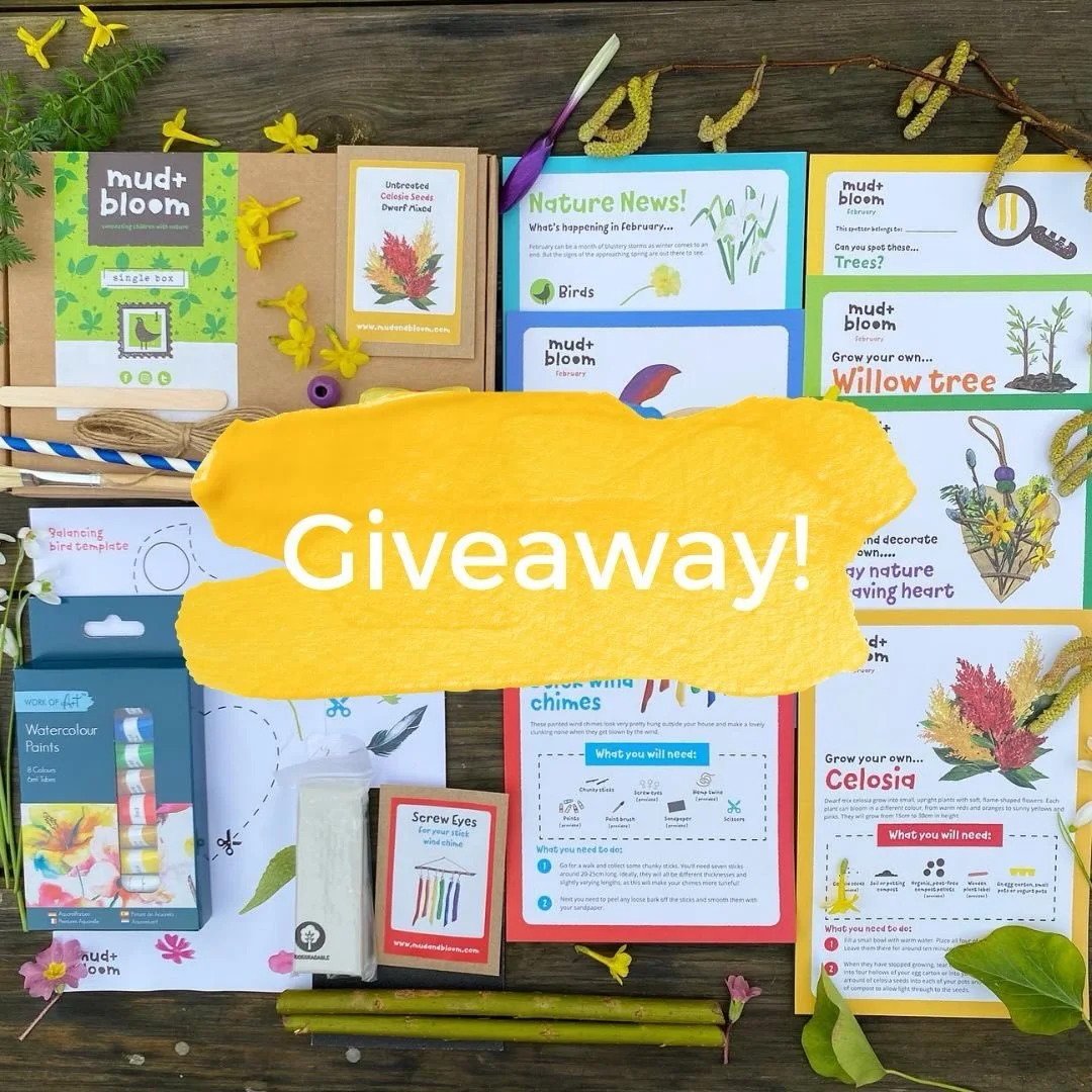 🌿 GIVEAWAY TIME! 💛🌱

Win a February nature crafts and gardening box

Our February box is filled with gentle, early-spring activities to help children notice change, create with care, and begin growing as the days slowly lengthen.

Perfect for litt