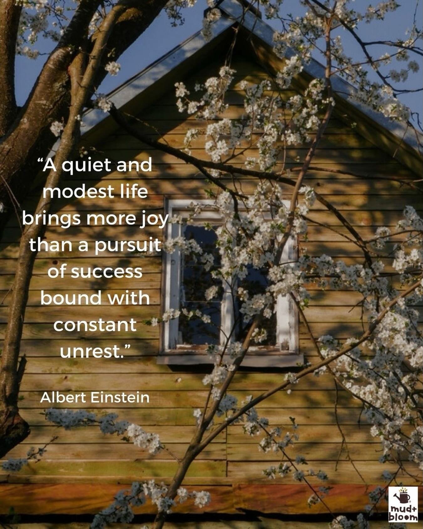 In a world that often encourages more, faster, and bigger, nature gently reminds us that joy can be found in simpler things.

Sometimes the quiet life is the richest one of all. 🌿

#mudandbloom #slowchildhood #natureplay #raisingnaturelovers #simple