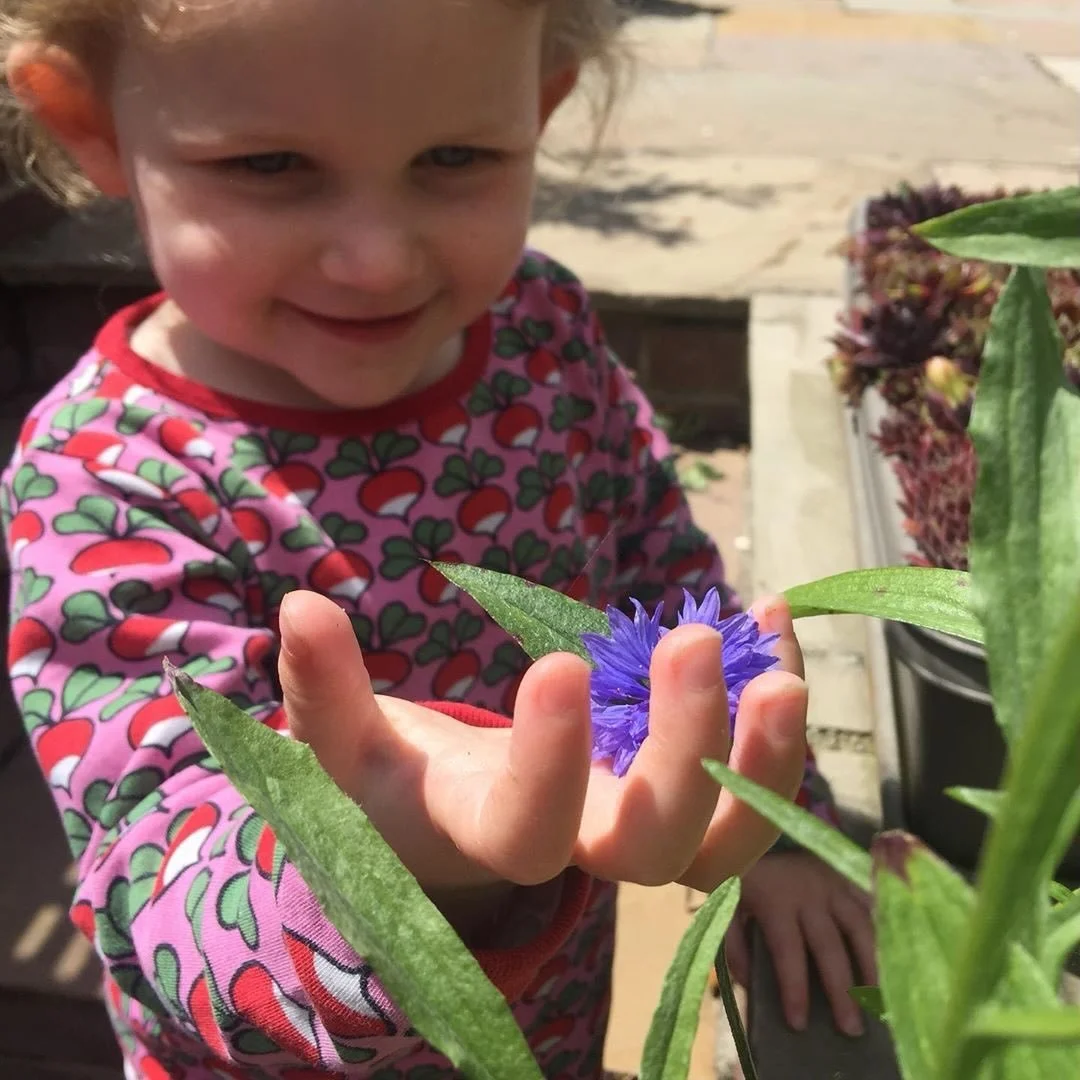Wildflowers once grew naturally amongst crops, colouring farmers&rsquo; fields with reds, blues, yellows and whites. Today they&rsquo;re much rarer, but we can still help bring them back.

In our March boxes we&rsquo;ve included a traditional cornfie