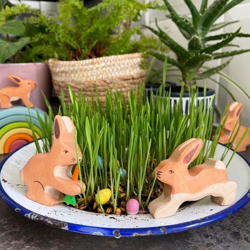 Grow Easter grass 🐣🌱🌼

Wheatgrass is a lovely way to introduce children to growing from seed. The seeds are easy for little hands to handle, and within just four days you&rsquo;ll begin to see fresh green shoots appear - growing a little more each