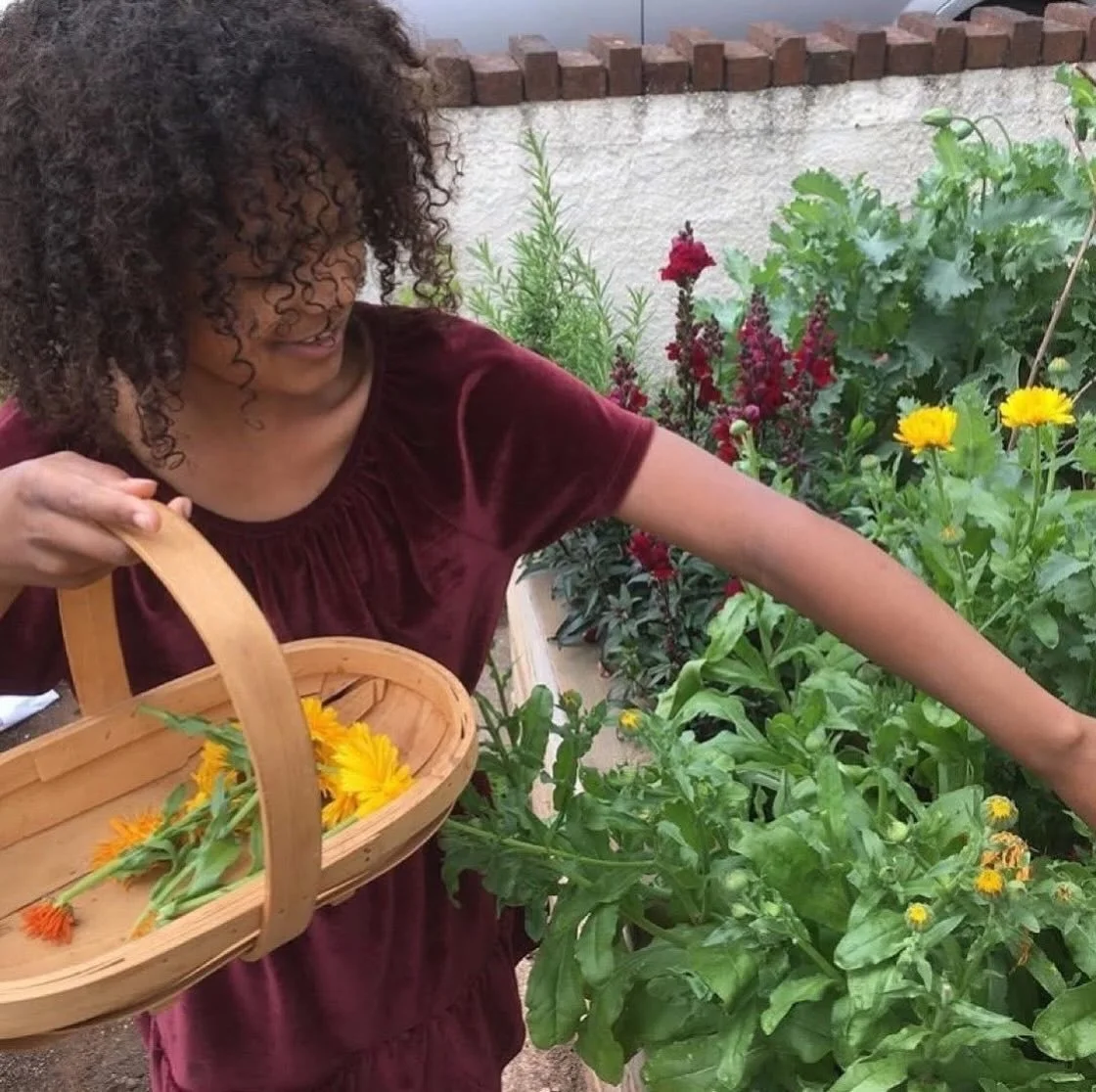 🌱 Our April Standalone Gardening Box is now available

This month&rsquo;s box includes:
🥬 Red cabbage seeds
🌼 Calendula seeds (edible flowers for salads, cakes or tea)
🔎 Woodland plants spotter
🍃 April&rsquo;s gardening jobs
🪴 Compost pellets a
