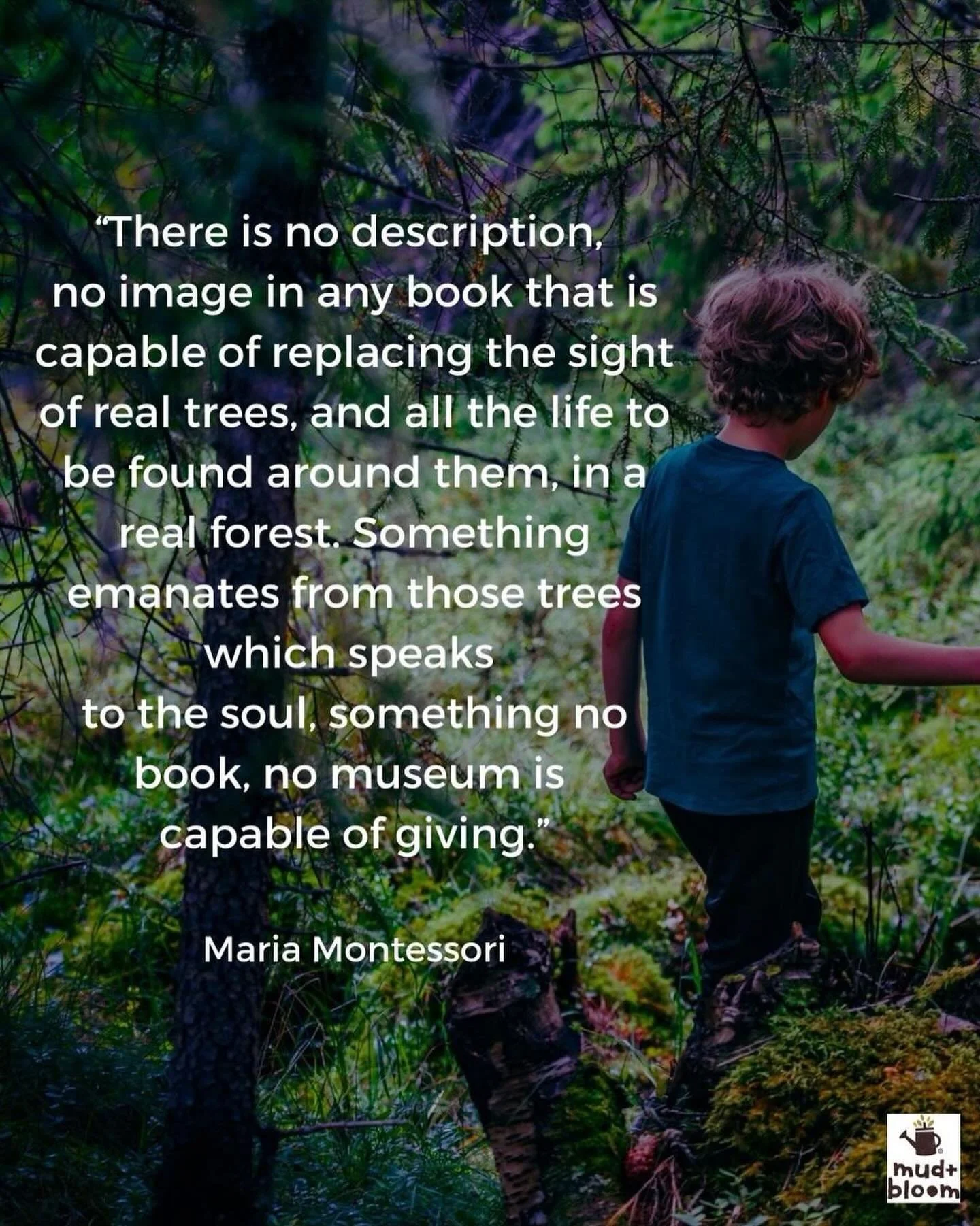 🌳💚

#mudandbloom #connectingchildrenwithnature #outdoorchildhood #natureplay #forestmoments