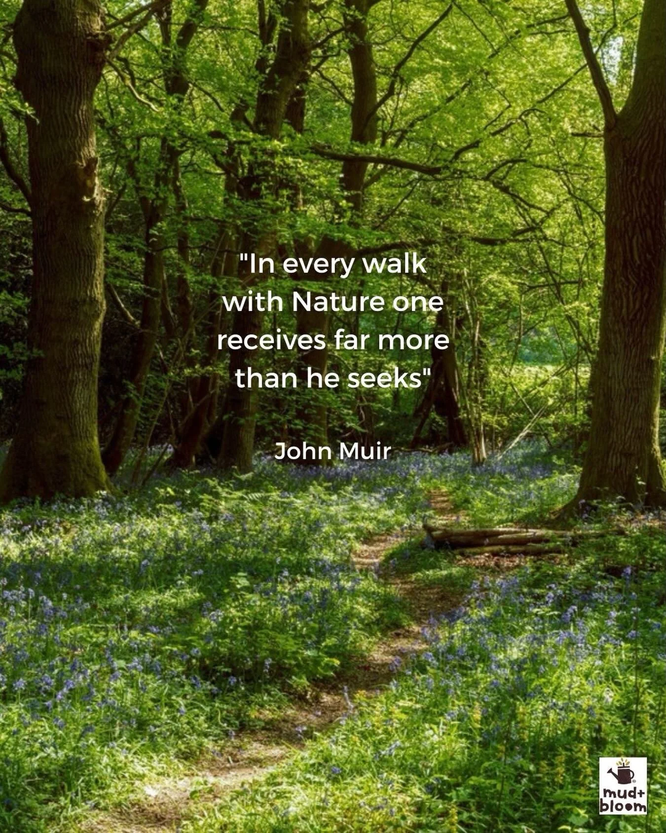 Step outside, slow your pace, and see what you find along the way.

#mudandbloom #naturewalk #childhoodunplugged #slowchildhood #springnature