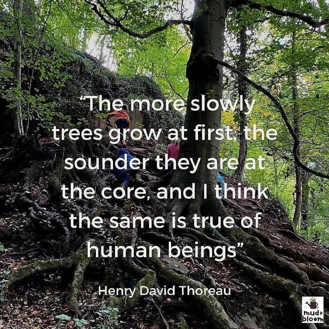 &ldquo;The more slowly trees grow at first, the sounder they are at the core, and I think the same is true of human beings&rdquo;
Henry David Thoreau

#childhood #slowparenting #natureconnection #henrydavidthoreauquote #mudandbloom