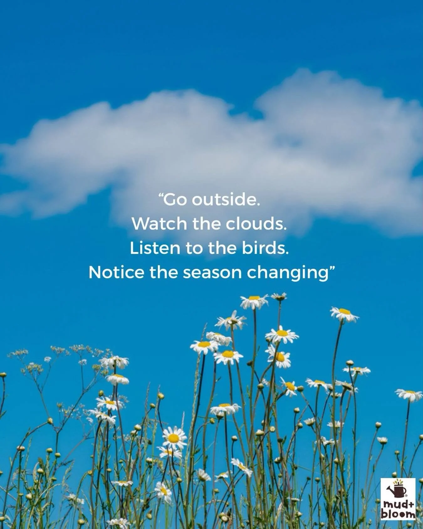 #mudandbloom #slowchildhood #natureconnection #childhoodunplugged #outdoorchildhood