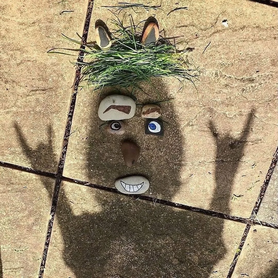 Create Nature Shadow Art! 🌿☀️👤

This is a really fun activity for children (and adults!) of all ages and a great way to experiment with light and shadow. You can also keep your painted rocks in a small pouch to create a portable nature game that ca