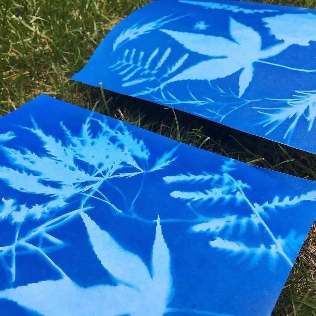 Make nature sun prints 🌿☀️

Making sun prints is such a lovely activity to do with children on a sunny day. Arrange flowers, leaves and grasses onto cyanotype paper, leave them in the sunshine, and watch as beautiful blue prints begin to appear. The