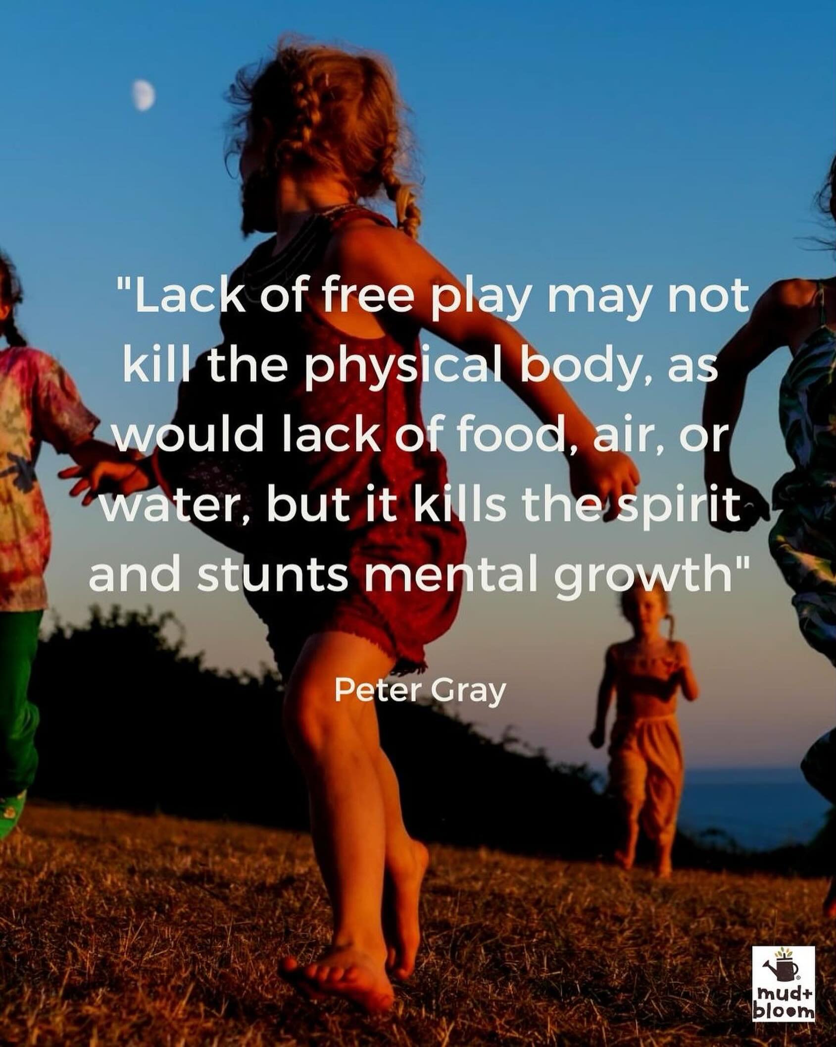 Free play is essential for healthy development. Below is the longer quote, it&rsquo;s from a great book titled: &ldquo;Free to Learn. Why unleashing the instinct to play will make our children happier, more self-reliant, and better students for life&