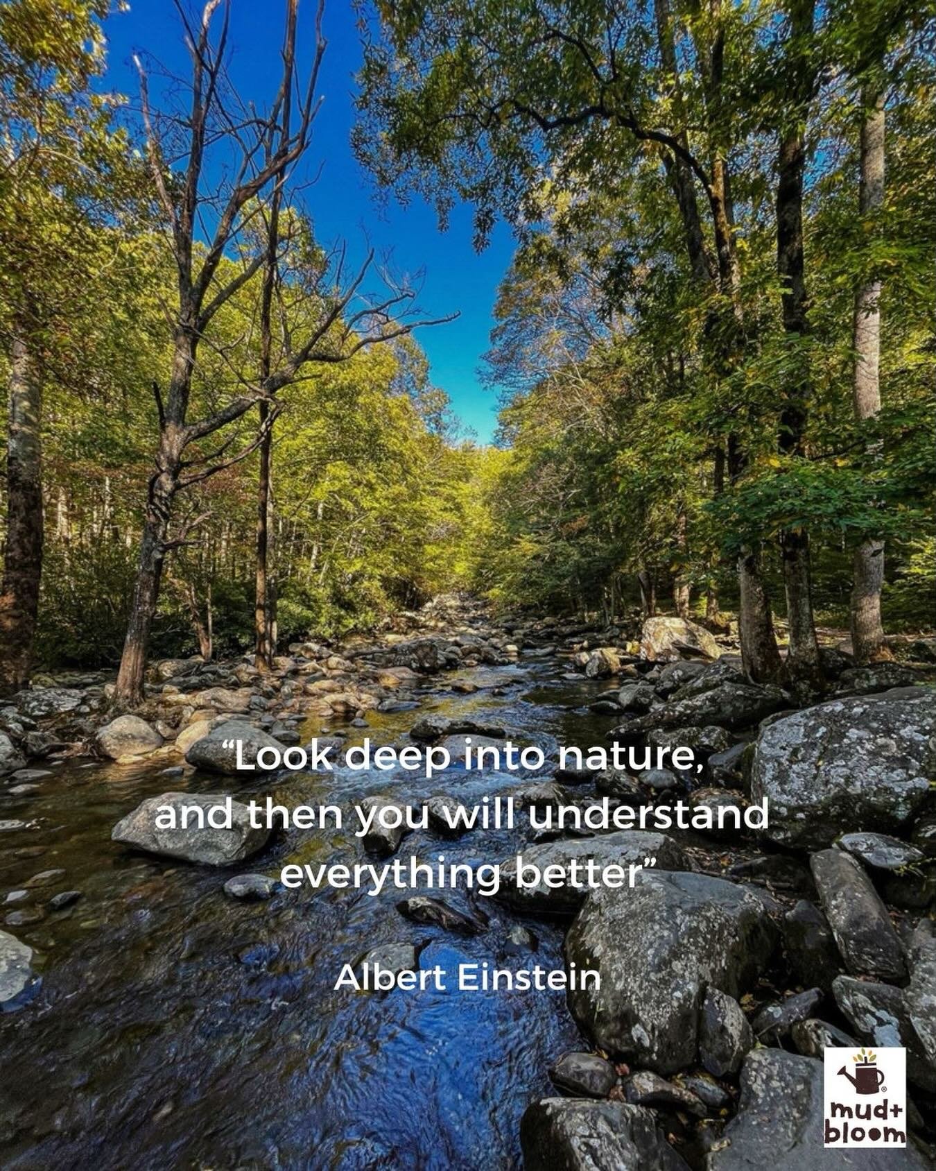 Often the best answers are found outdoors 🌿

#natureconnection #childhoodunnature #outdoorlearning #mudandbloom #naturequotes