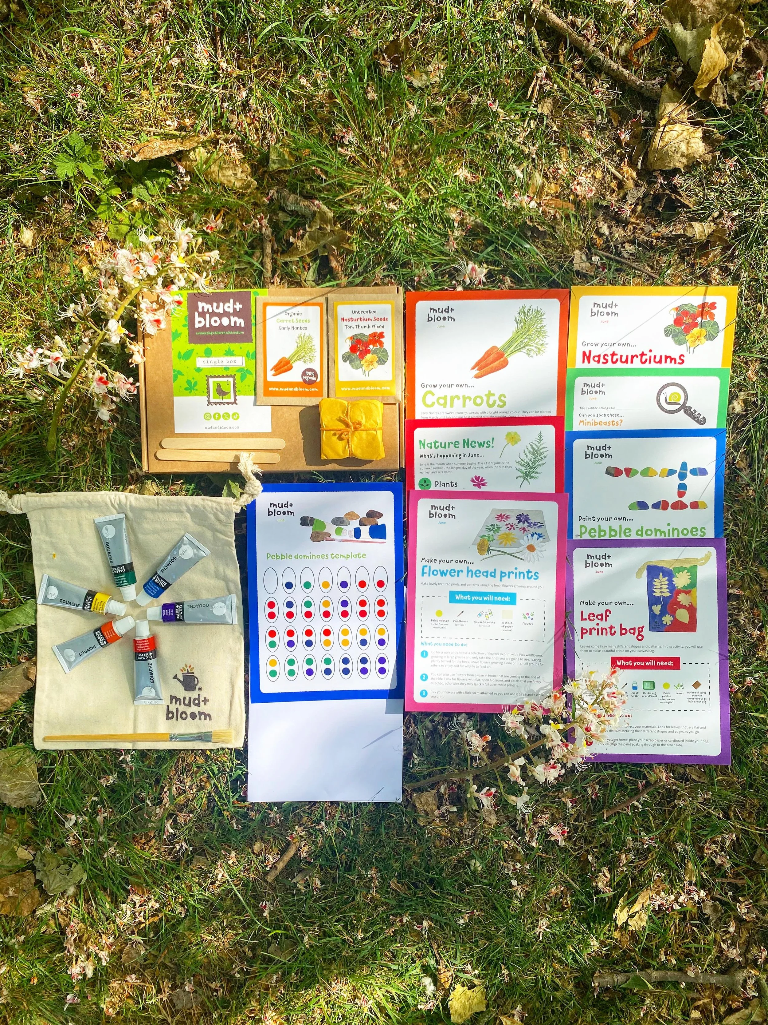 🌿 Hello June 🌼🐞

Our June box celebrates the start of summer, with colourful flowers, busy minibeasts and plenty of opportunities to get creative outdoors.

This month, you and your children can:

🪨 Make your own pebble dominoes
🍃 Make a leaf pr