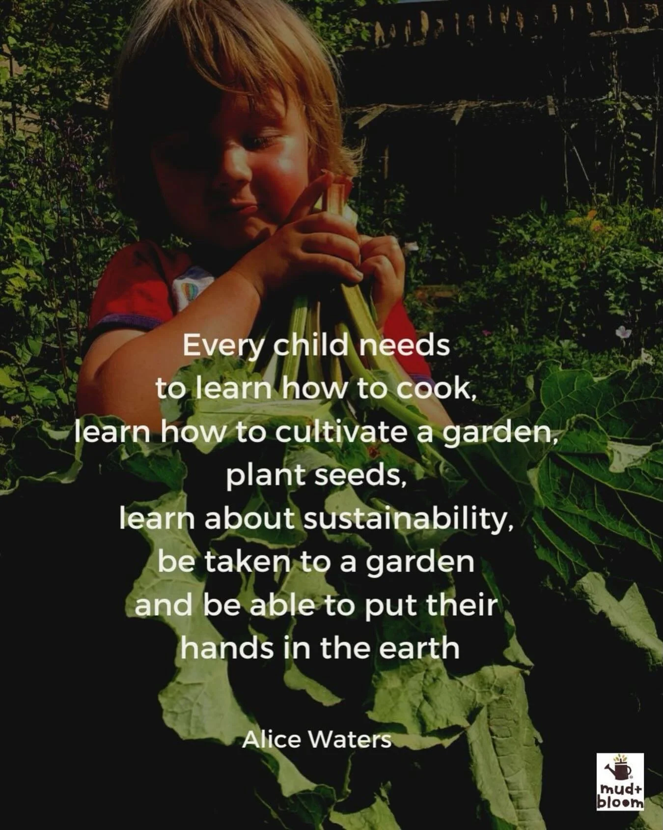 Every child deserves the chance to grow something, make something, and feel connected to the natural world. 🌱

#MudAndBloom
#GardeningWithChildren
#NatureConnection
#OutdoorChildhood
#kidsinnature