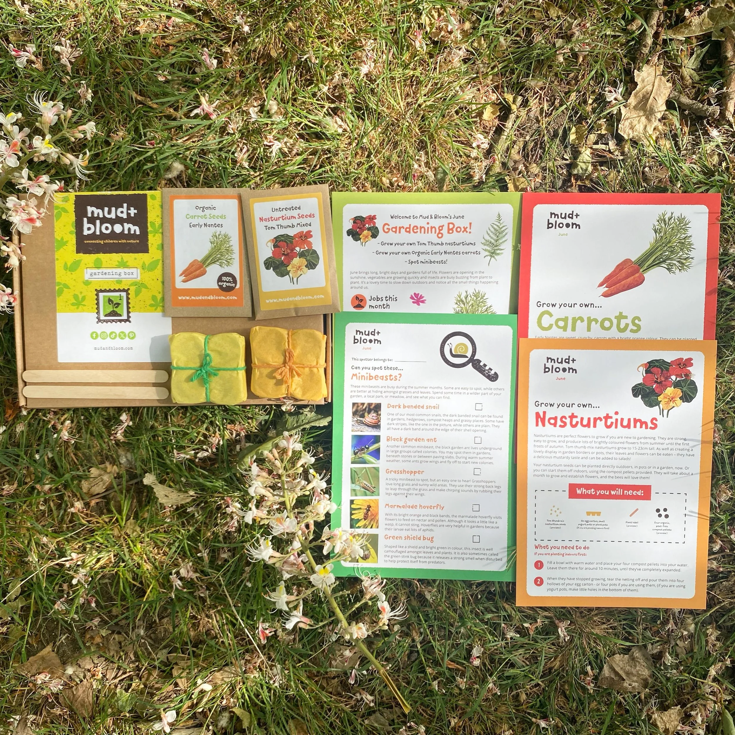 Our June Standalone Gardening Box is here 🌱

This month you&rsquo;ll sow edible Nasturtium &lsquo;Tom Thumb&rsquo; flowers and organic Nantes carrots. Nasturtiums are loved by pollinators, while carrots are always exciting to pull from the soil and 