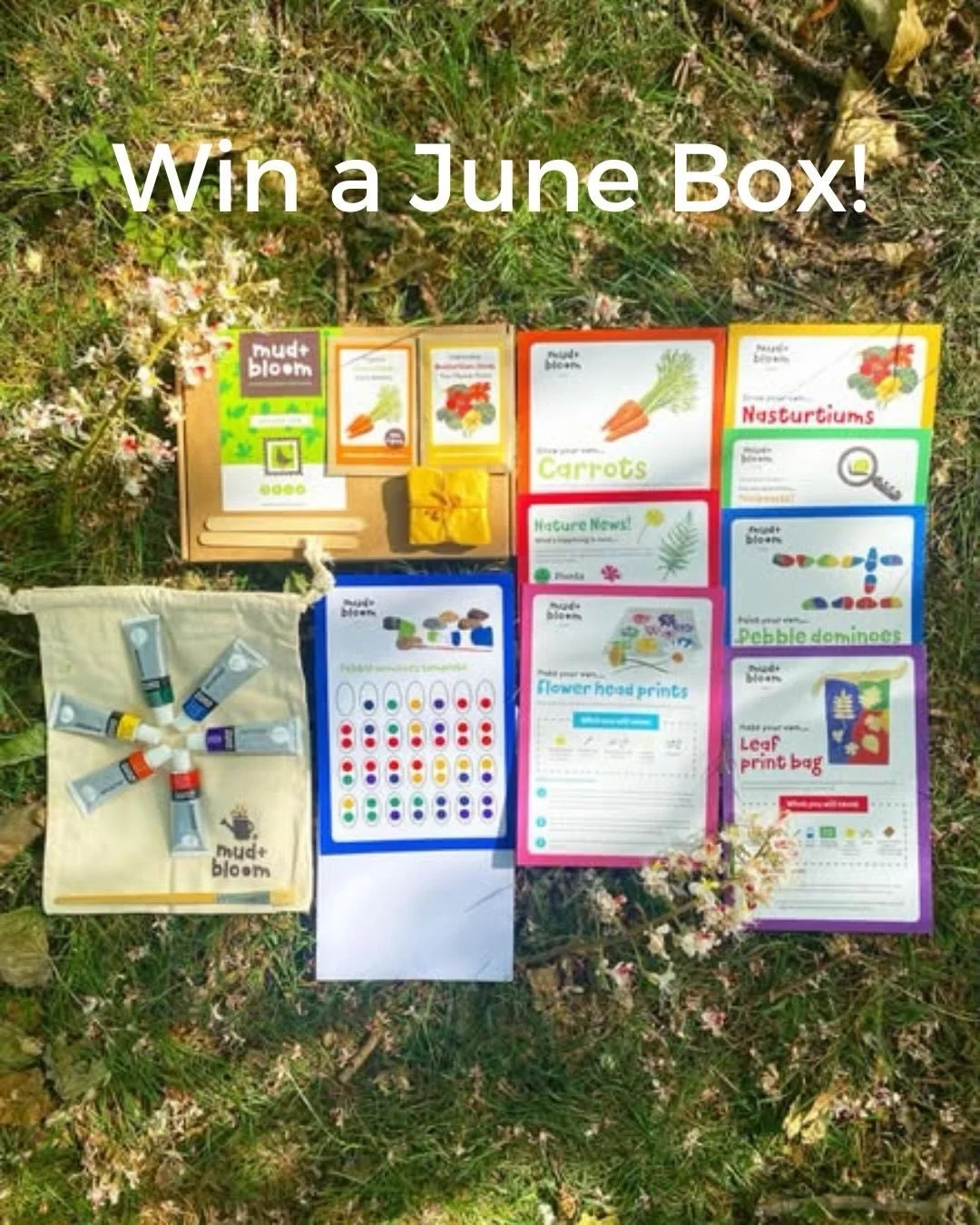 🌿 GIVEAWAY TIME! 🐞🥕🌸

Win a June Mud &amp; Bloom nature crafts and gardening box 🌱

Our June box is packed with hands-on activities to help children connect with nature. Make pebble dominoes, print with flowers and leaves, grow organic carrots a