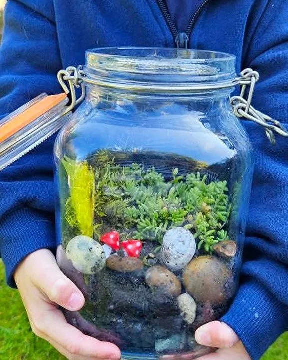 🍄 A tiny magical world&hellip; inside a jam jar. 🪴✨

Create your own miniature terrarium and watch nature work its magic. As water evaporates, it condenses on the glass and returns to the soil, creating a self-sustaining little ecosystem where moss