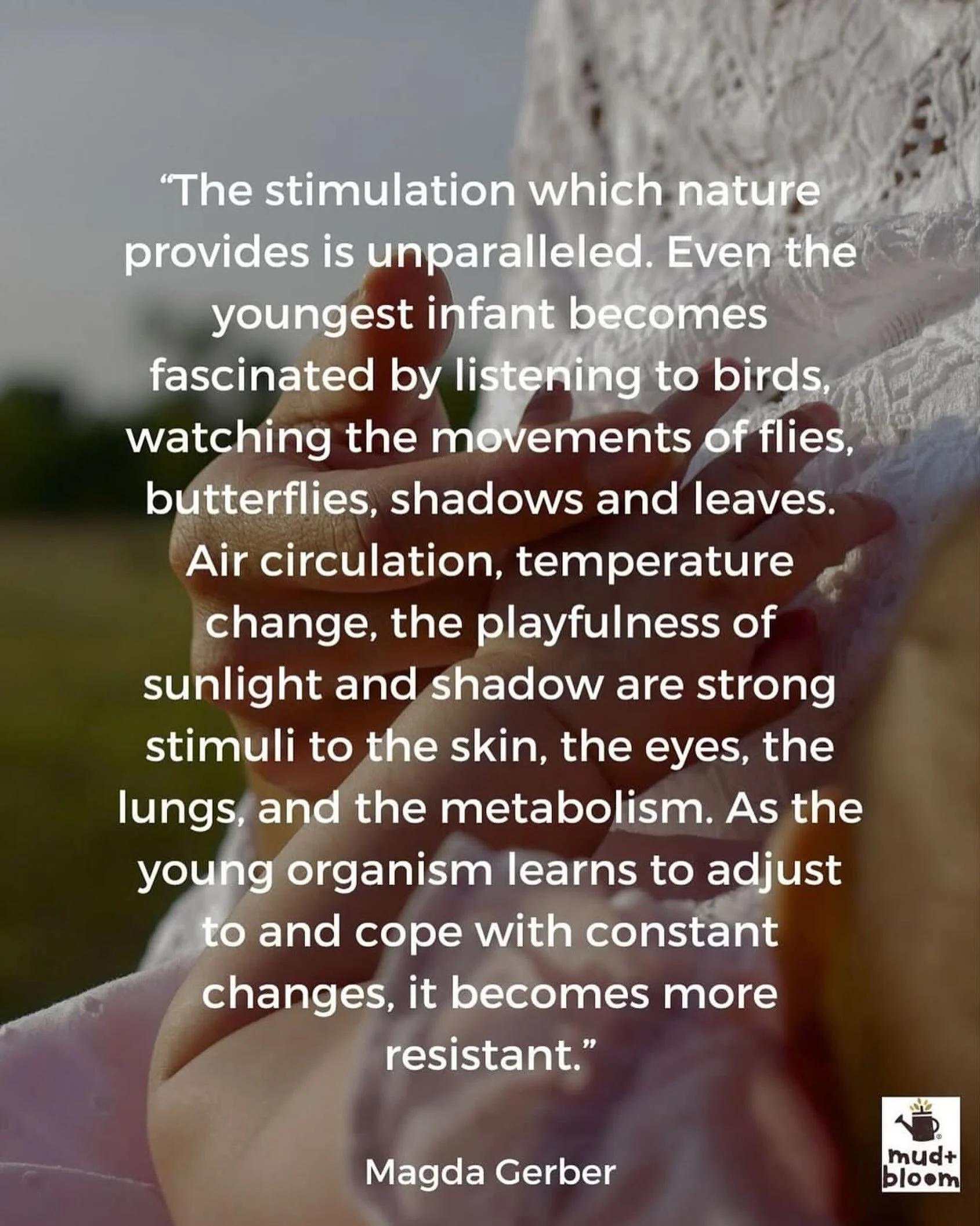 Every breeze, birdsong, fluttering butterfly and dancing shadow helps children explore, learn and grow. Sometimes the simplest moments outdoors are the ones that leave the biggest impression 🌿

#ChildhoodUnplugged #NatureConnection #OutdoorChildhood