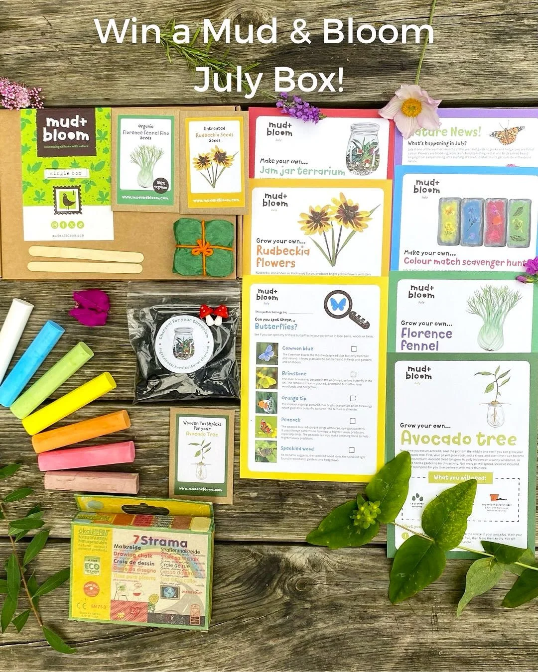 🌿 GIVEAWAY TIME! 🦋🥑🌼

Win a July Mud &amp; Bloom Nature Crafts &amp; Gardening Box! 🌱

Our July box is bursting with summer adventures for little nature lovers. Grow your own avocado tree, create a beautiful jam jar terrarium, sow organic Floren
