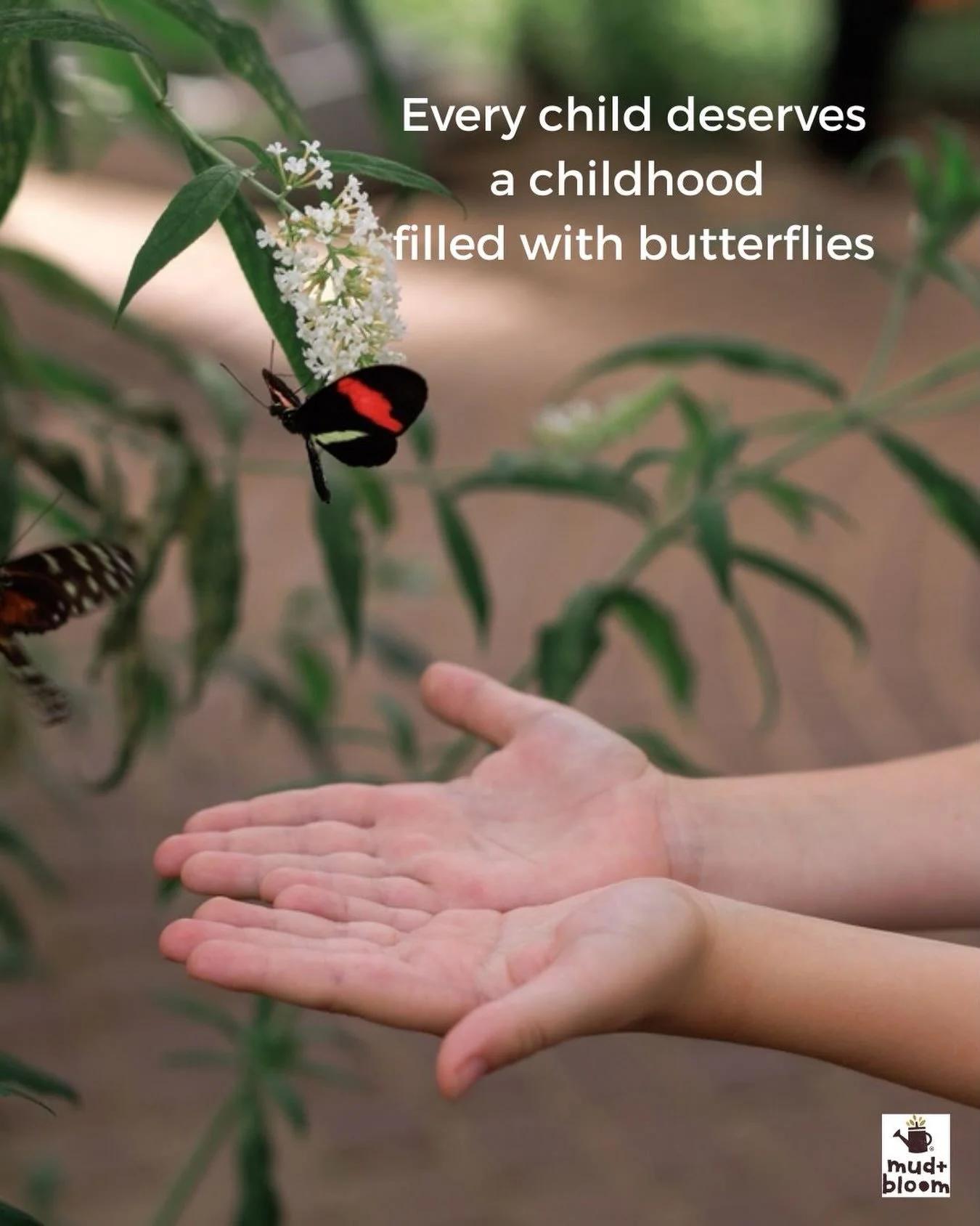 The Big Butterfly Count starts today! 🦋

What butterflies have you spotted already this summer? We&rsquo;d love to hear! 💛

#BigButterflyCount #Butterflies #ProtectChildhood #NatureConnection #bigbutterflycount2026