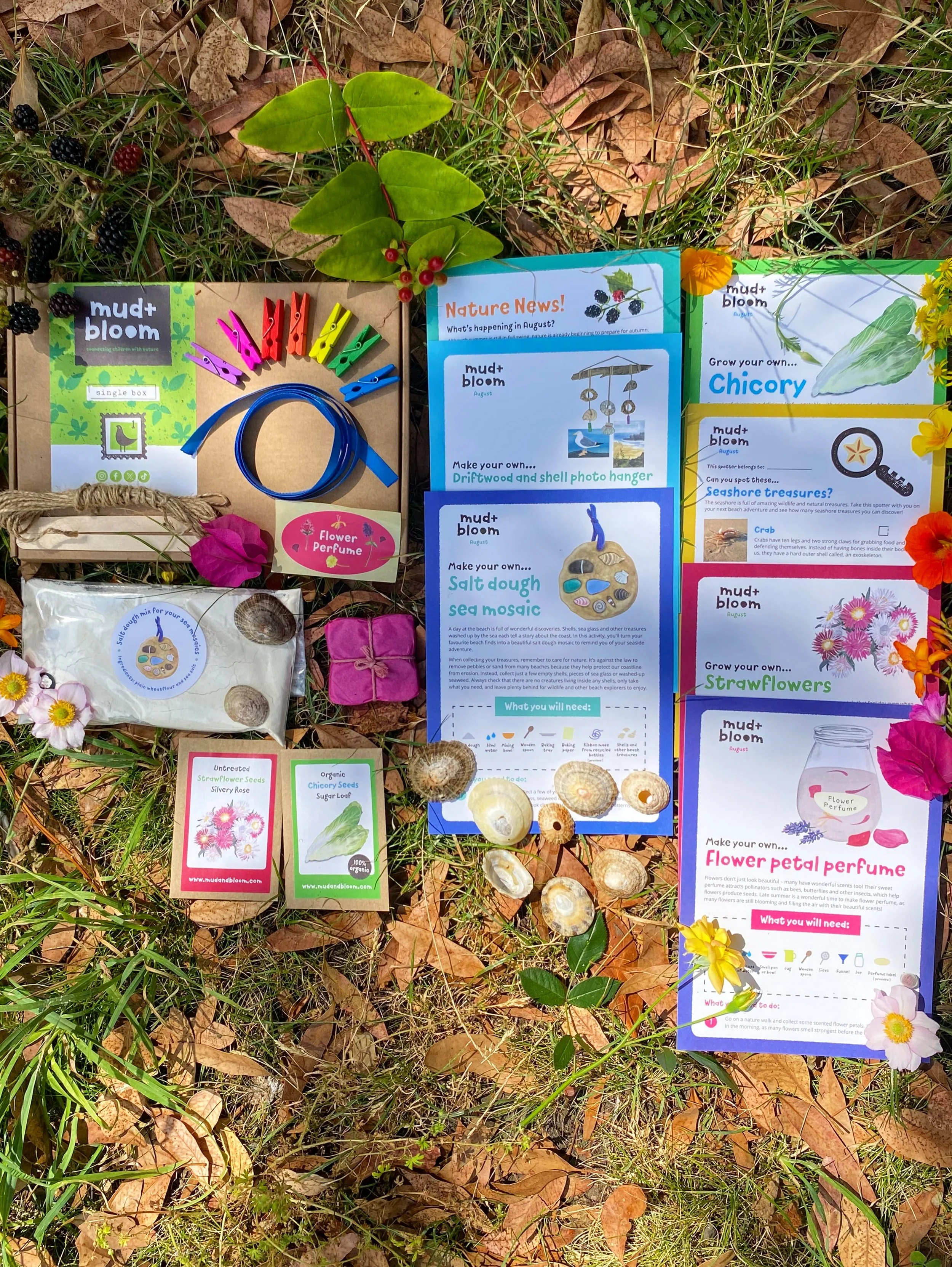 🌊 Hello August 🐚☀️

Our August box is inspired by the magic of the seashore, with creative, hands-on activities to help children explore, make, grow and connect with nature.

This month, you and your children can:

🐚 Make a beautiful salt dough se