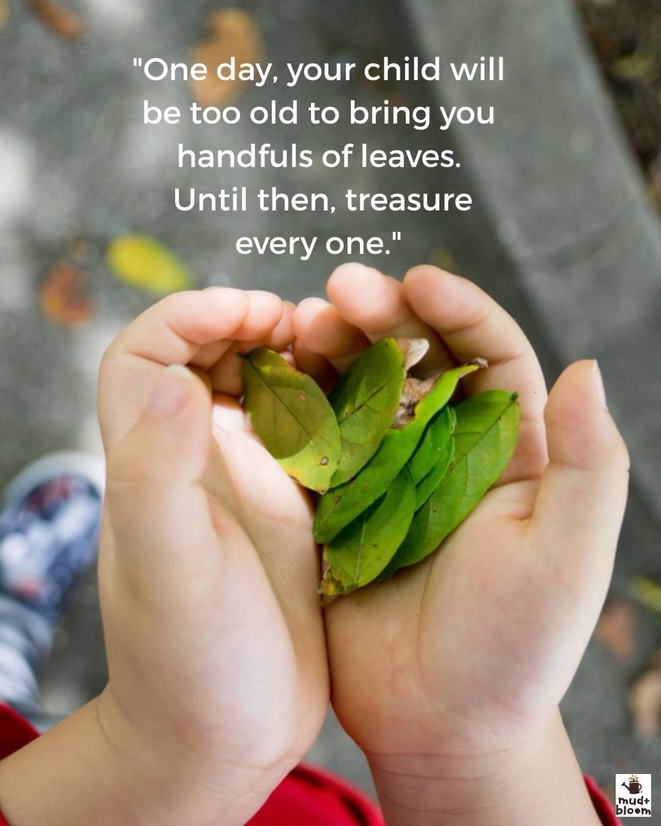 One day, the leaves, feathers, pebbles and treasures they bring home will stop appearing in their pockets. 🍃💛

What&rsquo;s the most unusual thing your child has brought home from a nature walk?

#childhoodunplugged #naturechildhood #mudandbloom #r