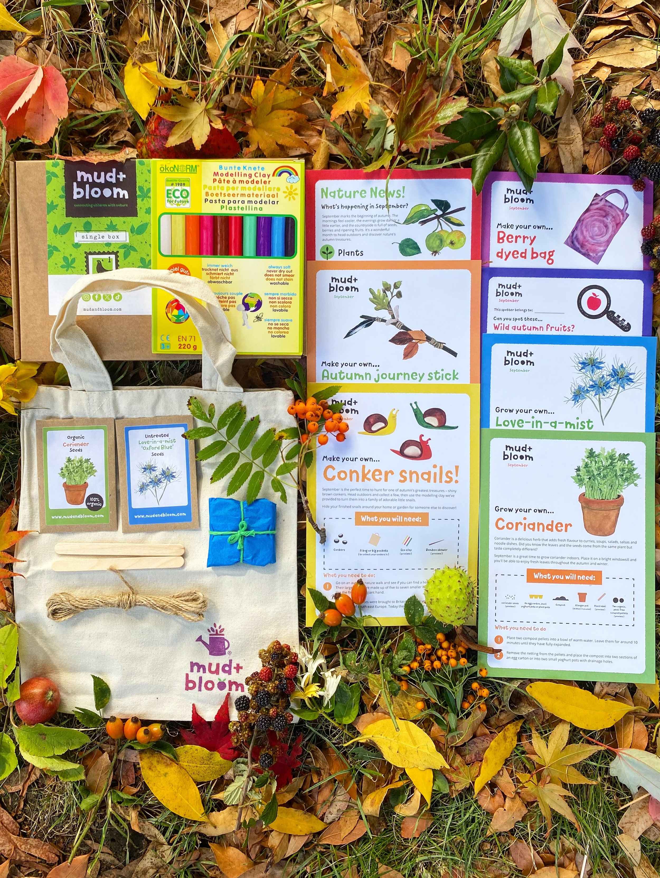 🍂 Hello September 🐌🌿

Our September box celebrates autumn with creative, hands-on activities that help children explore, make, grow and connect with nature.

This month, you and your children can:

👜 Berry-dye your own cotton bag
🌿 Grow organic 