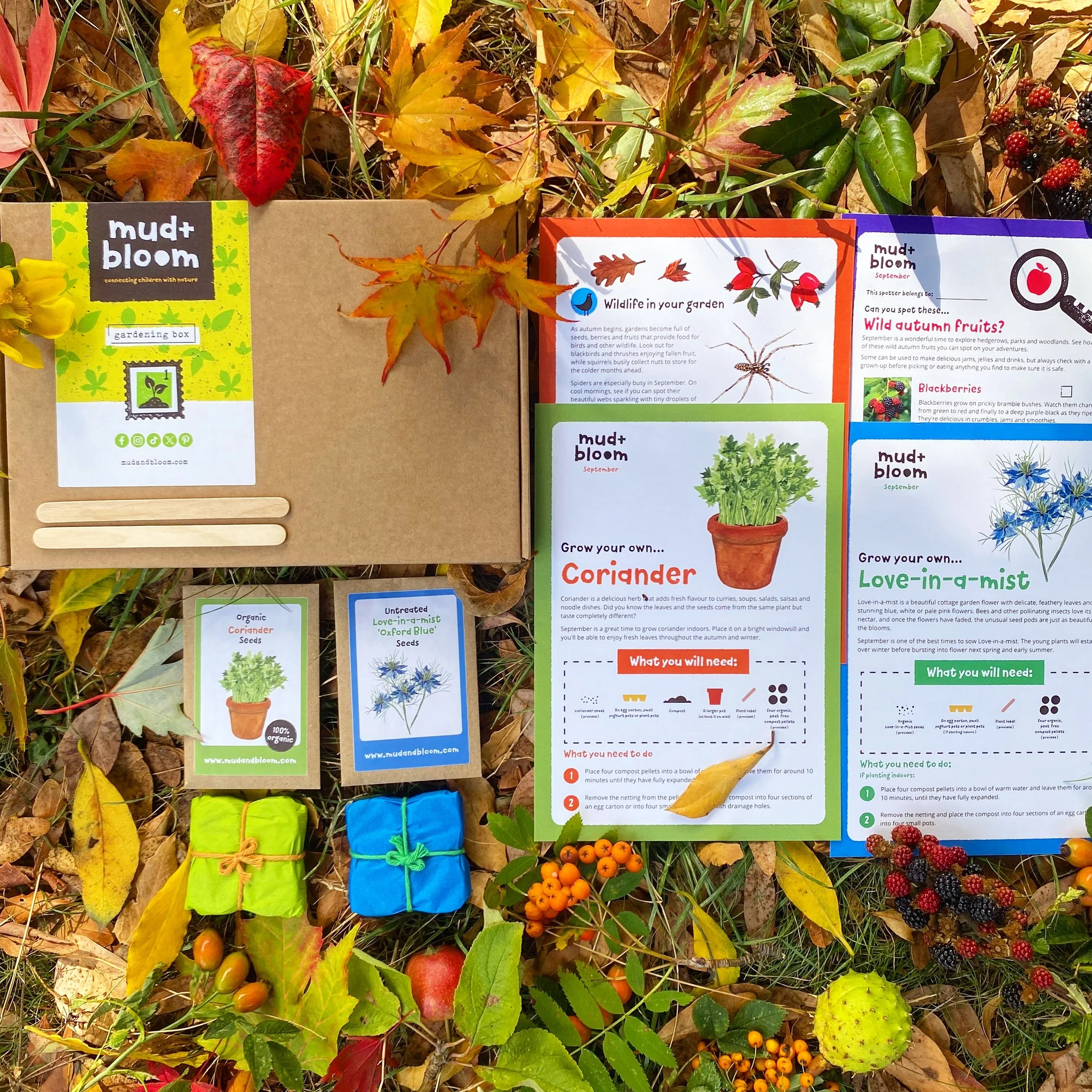 🌿 Our September standalone gardening box is here! 💙

This month, you can grow tasty organic coriander and beautiful organic Love-in-a-Mist &lsquo;Oxford Blue&rsquo;. Coriander is quick and easy to grow on a sunny windowsill, while Love-in-a-Mist wi