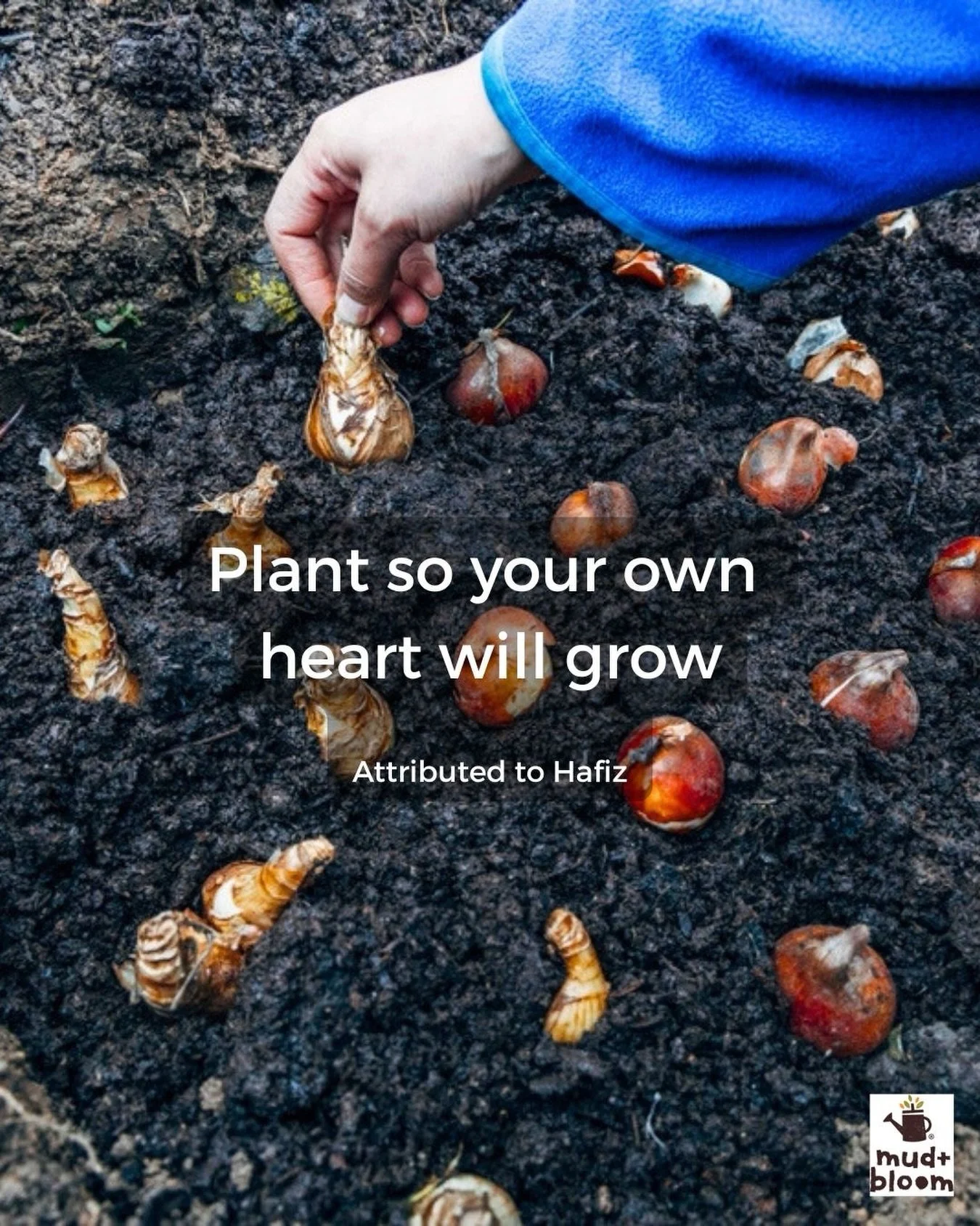 There&rsquo;s something very hopeful about planting something now and trusting in what it might become. 🌱💛

A little time spent with our hands in the soil can be good for us too.

#gardeningwithkids #natureconnection #growingwithkids #childhoodunpl