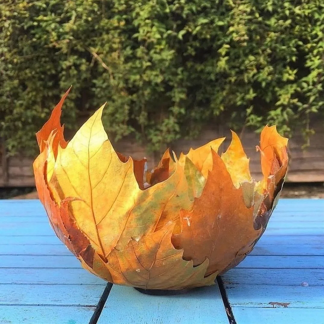 🍂 Make an autumn leaf bowl 🍁

One of our favourite crafts for all those beautiful fallen autumn leaves! 🍂

It takes a little patience while the layers dry, but the finished bowl is so worth it - and every one turns out completely unique.

We made 