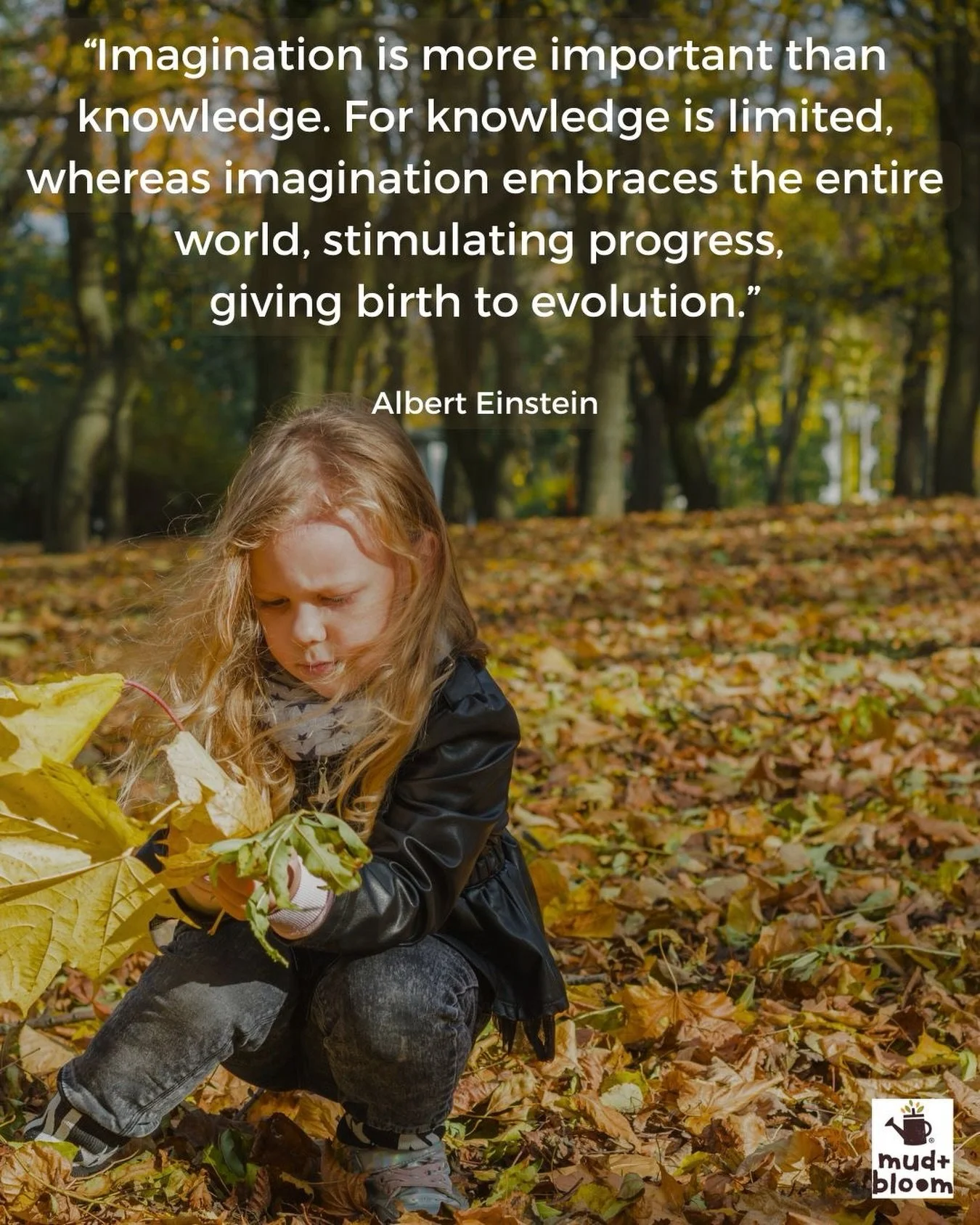 A little reminder to make plenty of room for imagination 🍂

#childhoodunplugged #learningthroughplay #natureplay #outdoorlearning #mudandbloom