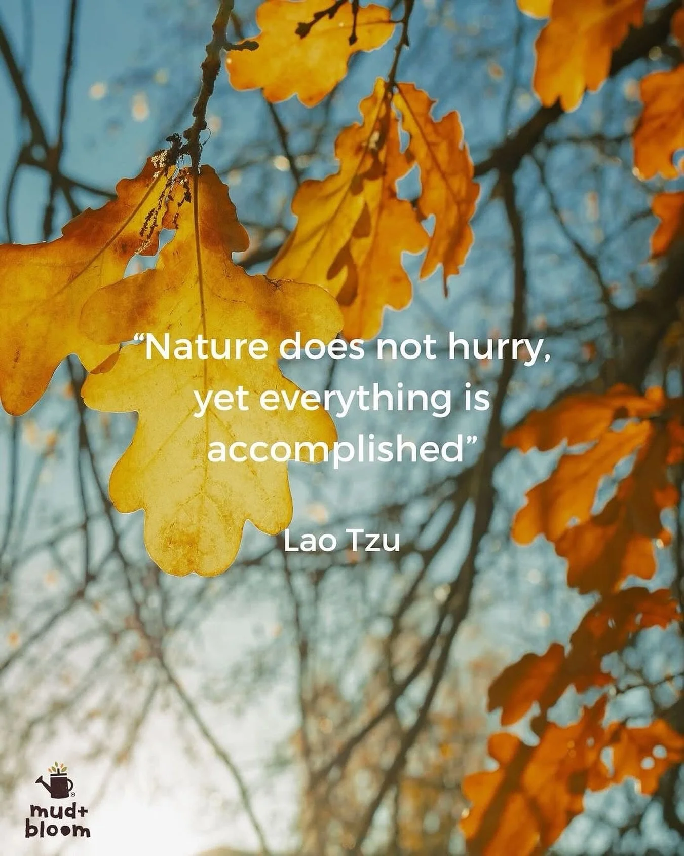 A little Sunday reminder 🍂
Slow down, notice the changing season, and let nature set the pace 💛

#mudandbloom #naturequote #autumn #slowliving #connectingwithnature