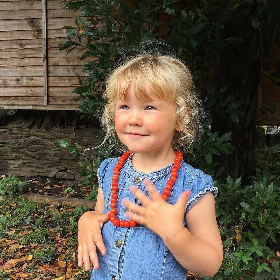 Make an autumn berry necklace 🌿🍂

Hedgerows and trees are full of beautiful autumn treasures at this time of year. Look out for rosehips, hawthorn haws and bright red rowan berries - perfect for a little seasonal berry threading.

Simply collect a 