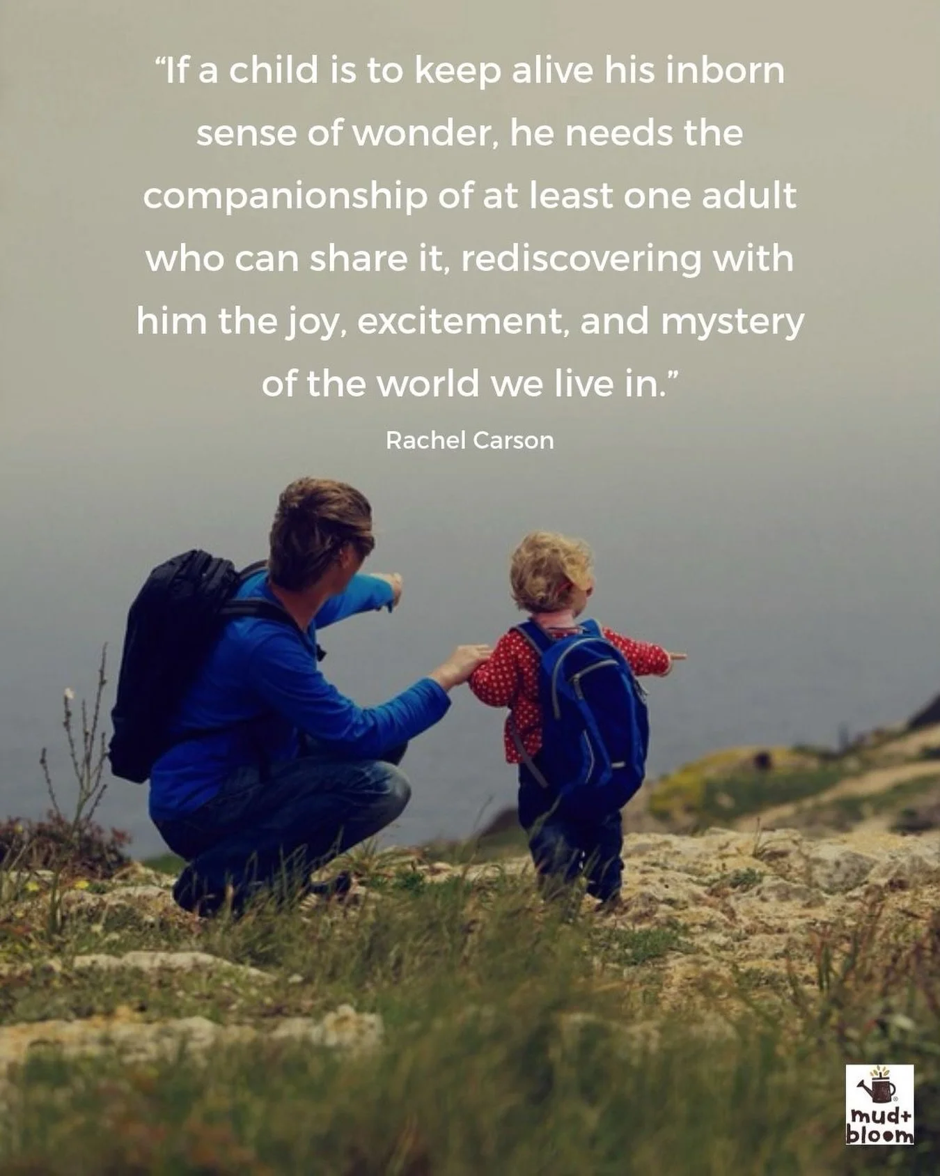 🌿 A child&rsquo;s sense of wonder is a beautiful reminder to look at the world with fresh eyes. 💛

#childhoodwonder #naturewithkids #kidsinnature #simplechildhood #mudandbloom