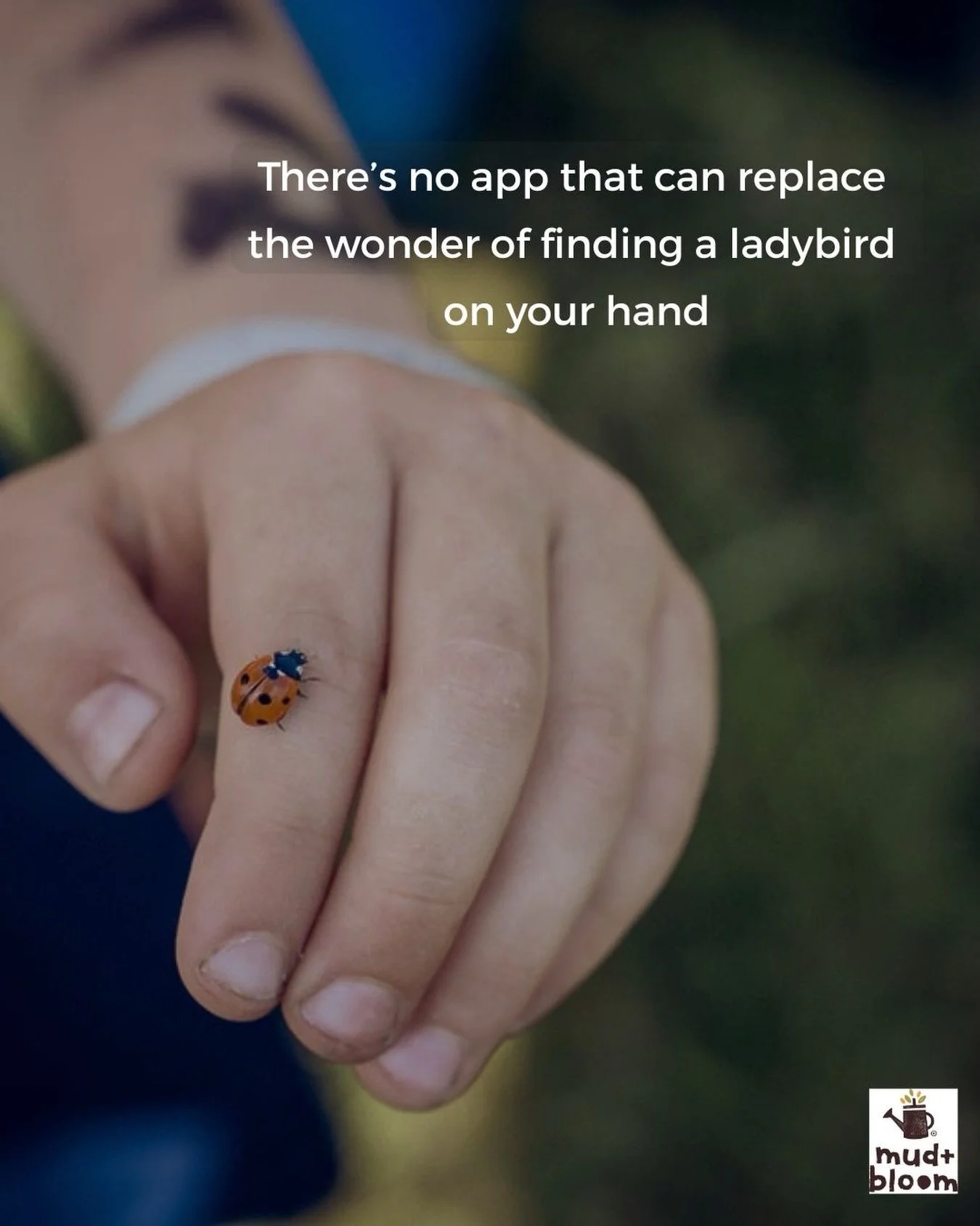 A little bit of everyday magic 🐞😊

#childhoodunplugged #natureconnection #natureplay #outdoorchildhood #aweandwonder