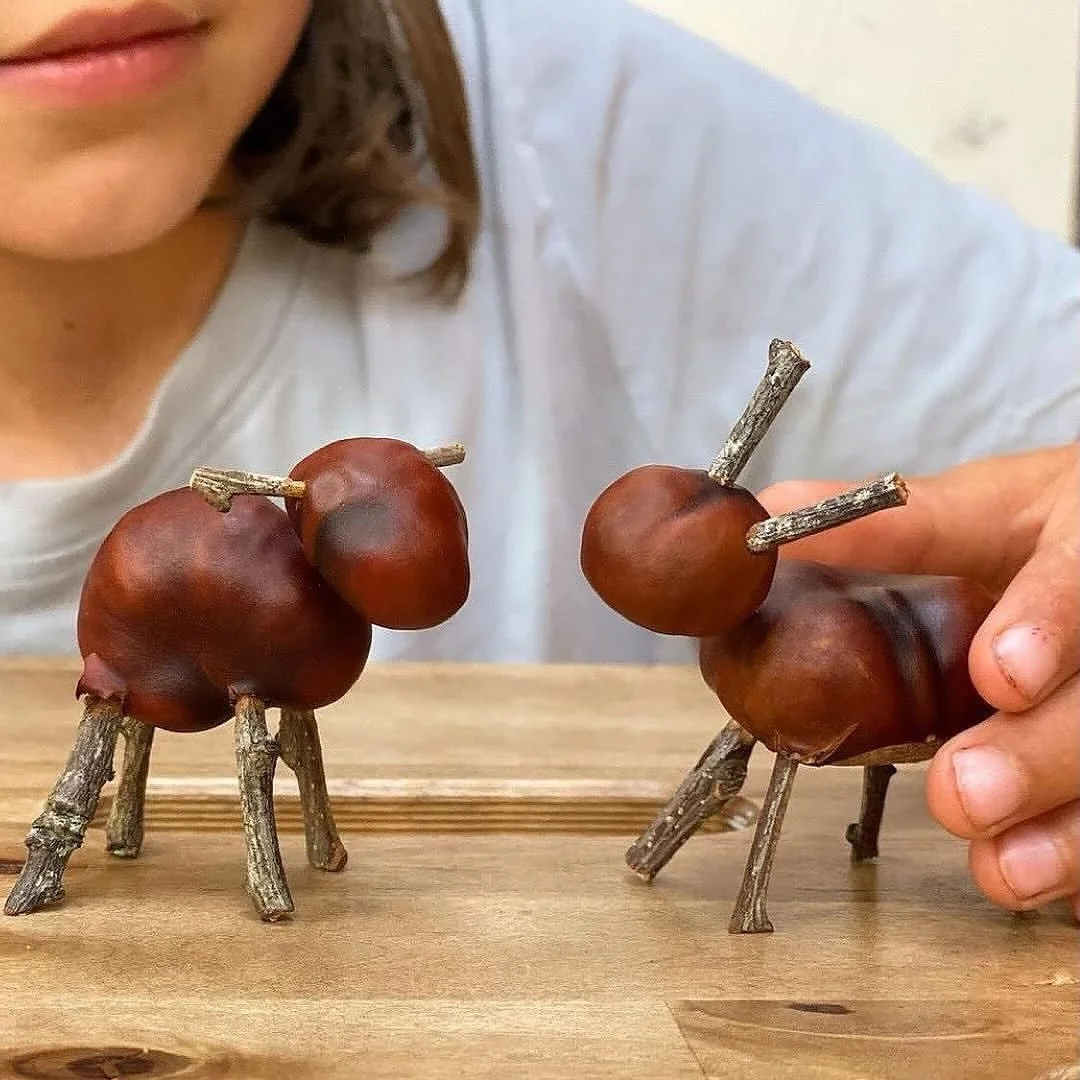 🌰🍂 Make conker animals!

Here are our attempts at a camel and a horse 🐪🐴

All you need are conkers, some twigs, and a skewer for making the holes. It&rsquo;s easiest to make the holes while the conkers are still fresh &ndash; then you can slot in
