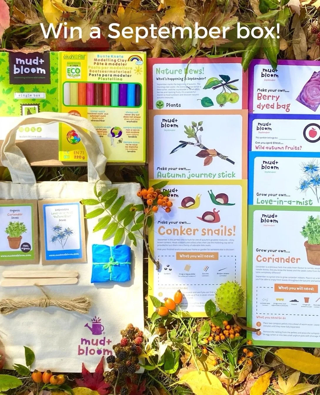 🍂 GIVEAWAY TIME! 🍁🌿

Win a September Mud &amp; Bloom Nature Crafts &amp; Gardening Box! 🌱

Our September box is full of autumn nature activities for little explorers. Naturally dye a cotton bag with berries, make a family of conker snails, create
