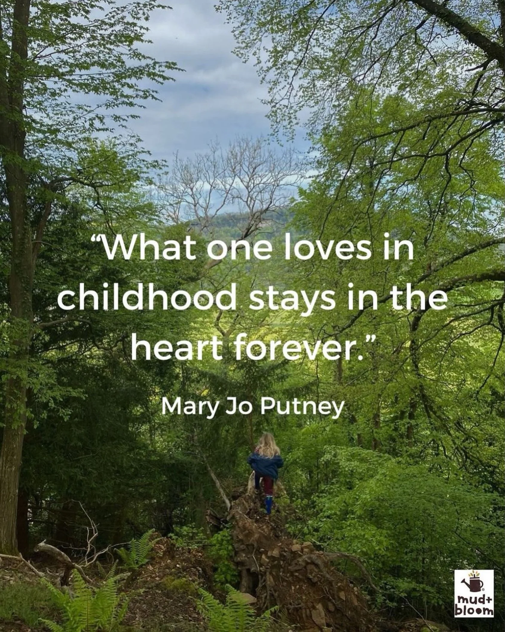 The things we love as children have a way of staying with us 🌿💚

#childhoodinnature #natureconnection #wildchildhood #outdoorchildhood #mudandbloom