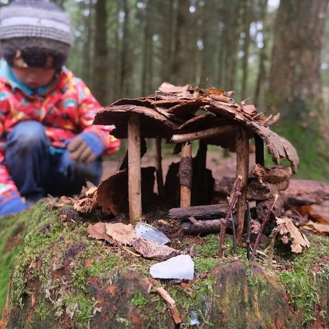 Make an elf house! 🍂

Who knows what lives down in the woods or in other wild places when we&rsquo;re not around! Elf houses can be made any time, but there&rsquo;s no better time or place than an autumn woodland &ndash; when there&rsquo;s lots of b