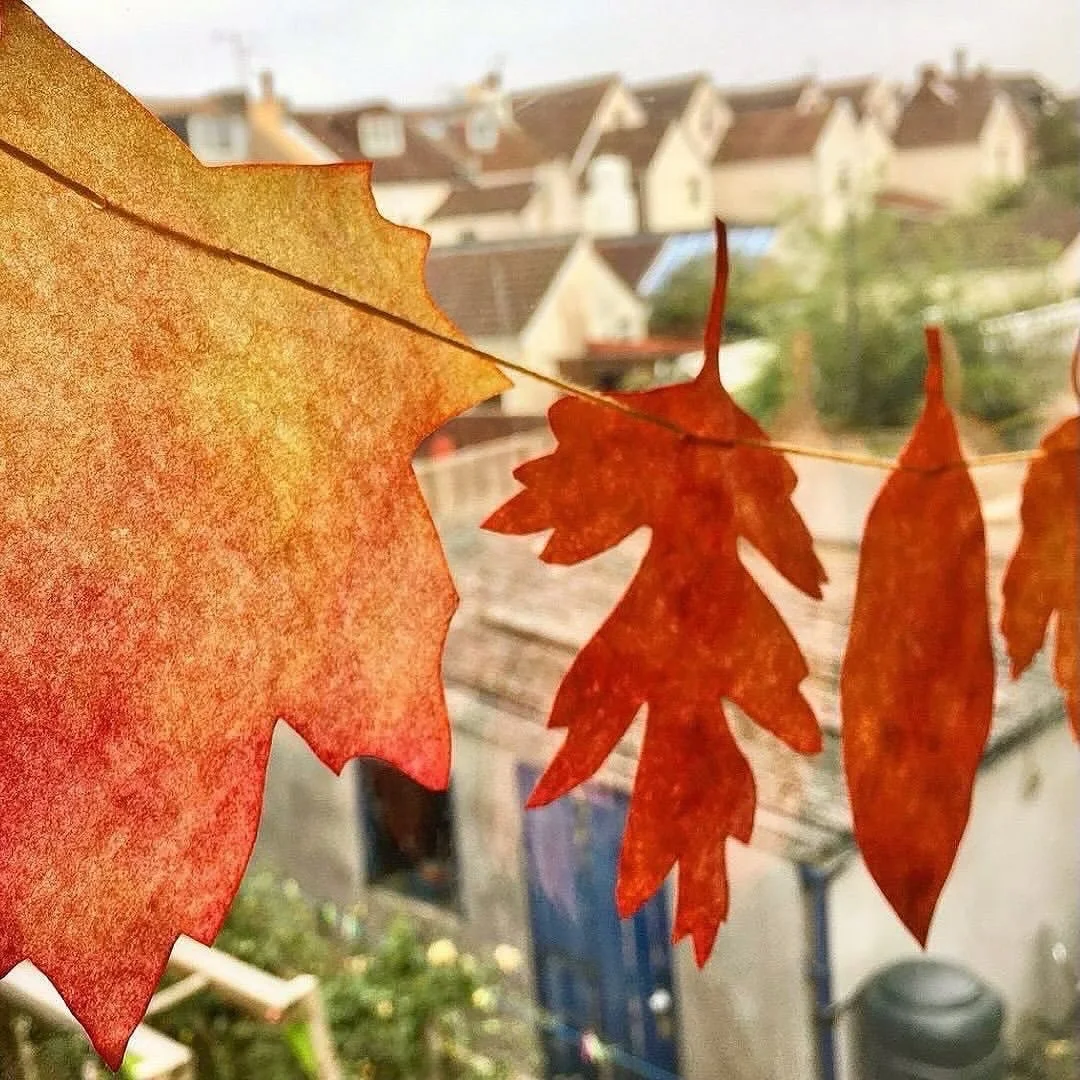 Make a coffee filter leaf garland! 🍁🍂

This is a fun activity to do, it&rsquo;s lovely watching how the colours mix together.

Read our blog post on how to make one via the link in our profile 👆🏼 also here www.mudandbloom.com/blog/leaf-suncatcher