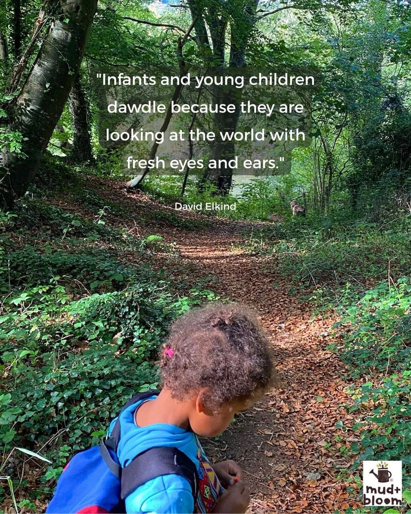 There&rsquo;s so much to discover when we give children the time to stop and notice 🌿🍂✨

#ChildhoodWonder #NatureKids #OutdoorChildhood #SlowChildhood #mudandbloom